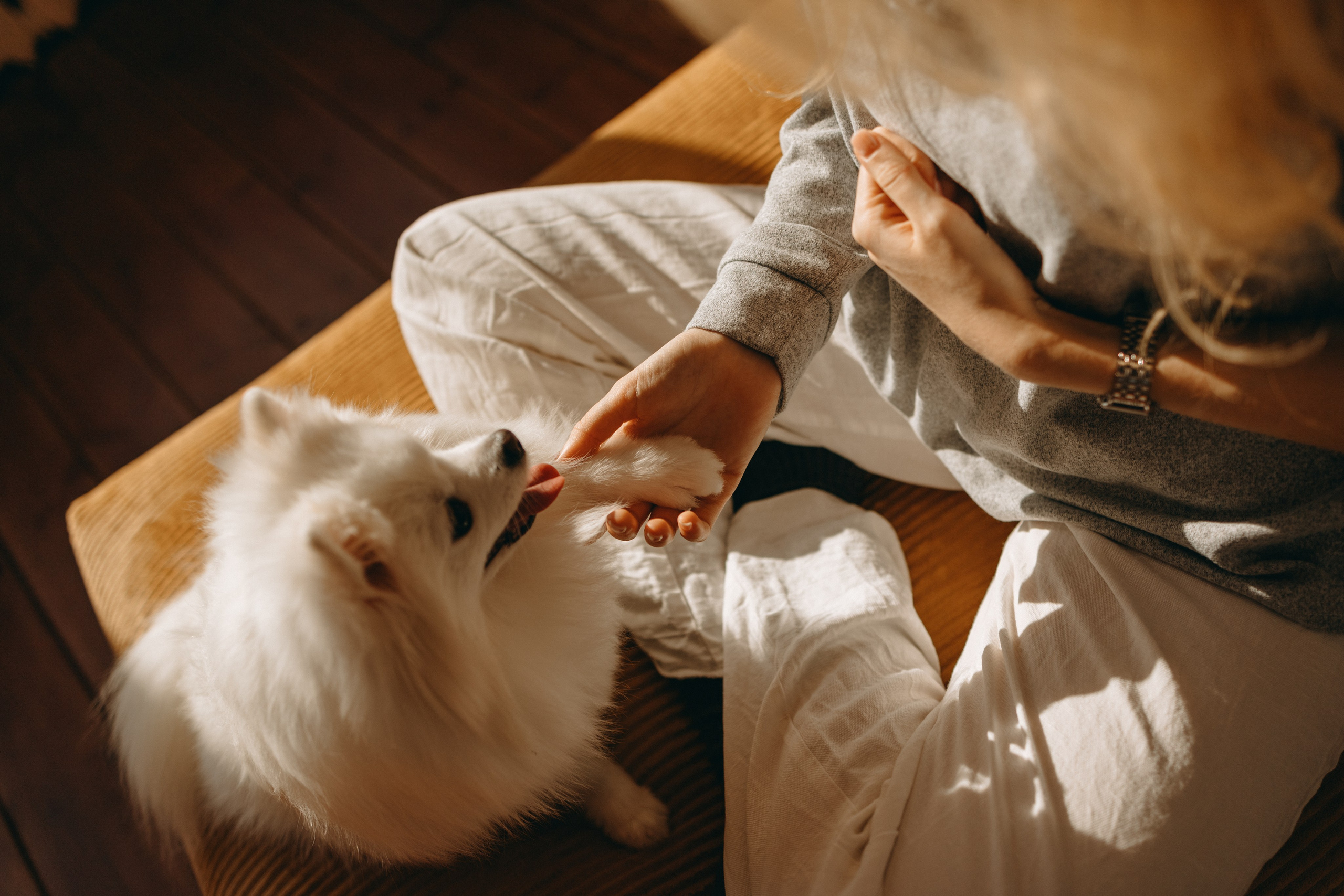 Джесси и ее семья. Фотограф — Анималист | Санкт-Петербург