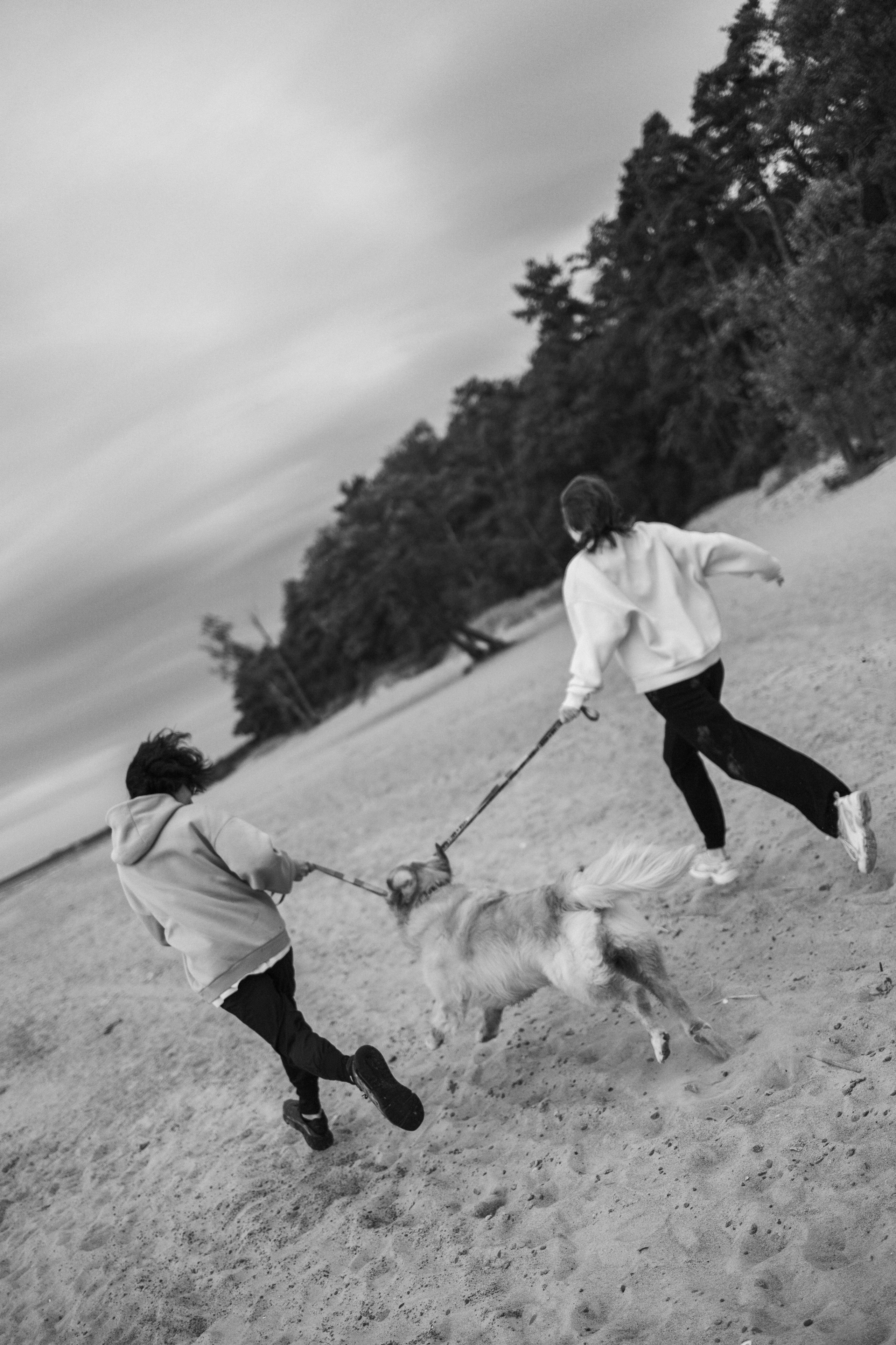 Фоси и его семьи. Фотограф — Анималист | Санкт-Петербург