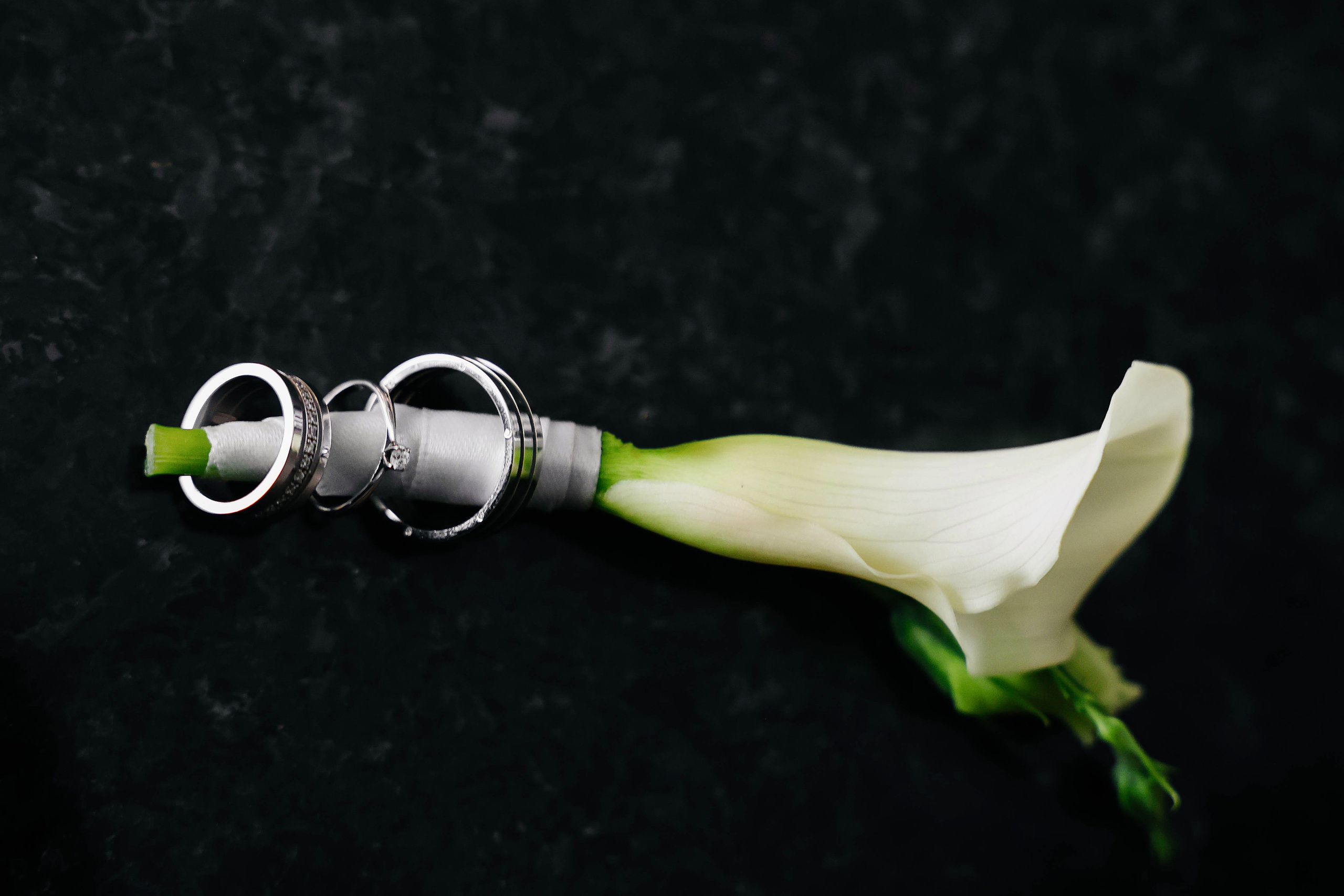 Евгения и Кирилл. Alena Nezalenova