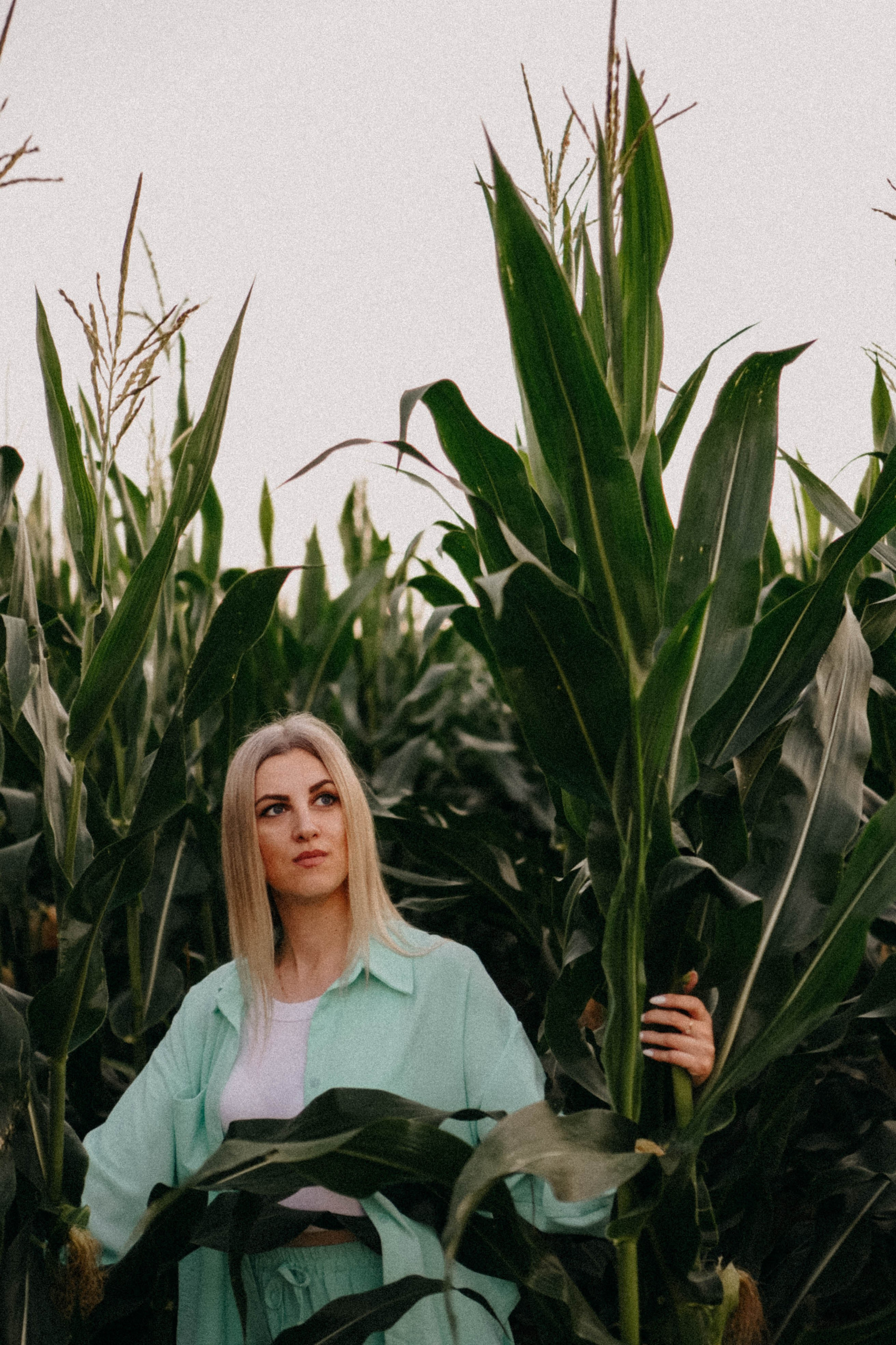 Летний вечер. Профессиональный фотограф, Санкт-Петербург — Виктория Богомолова