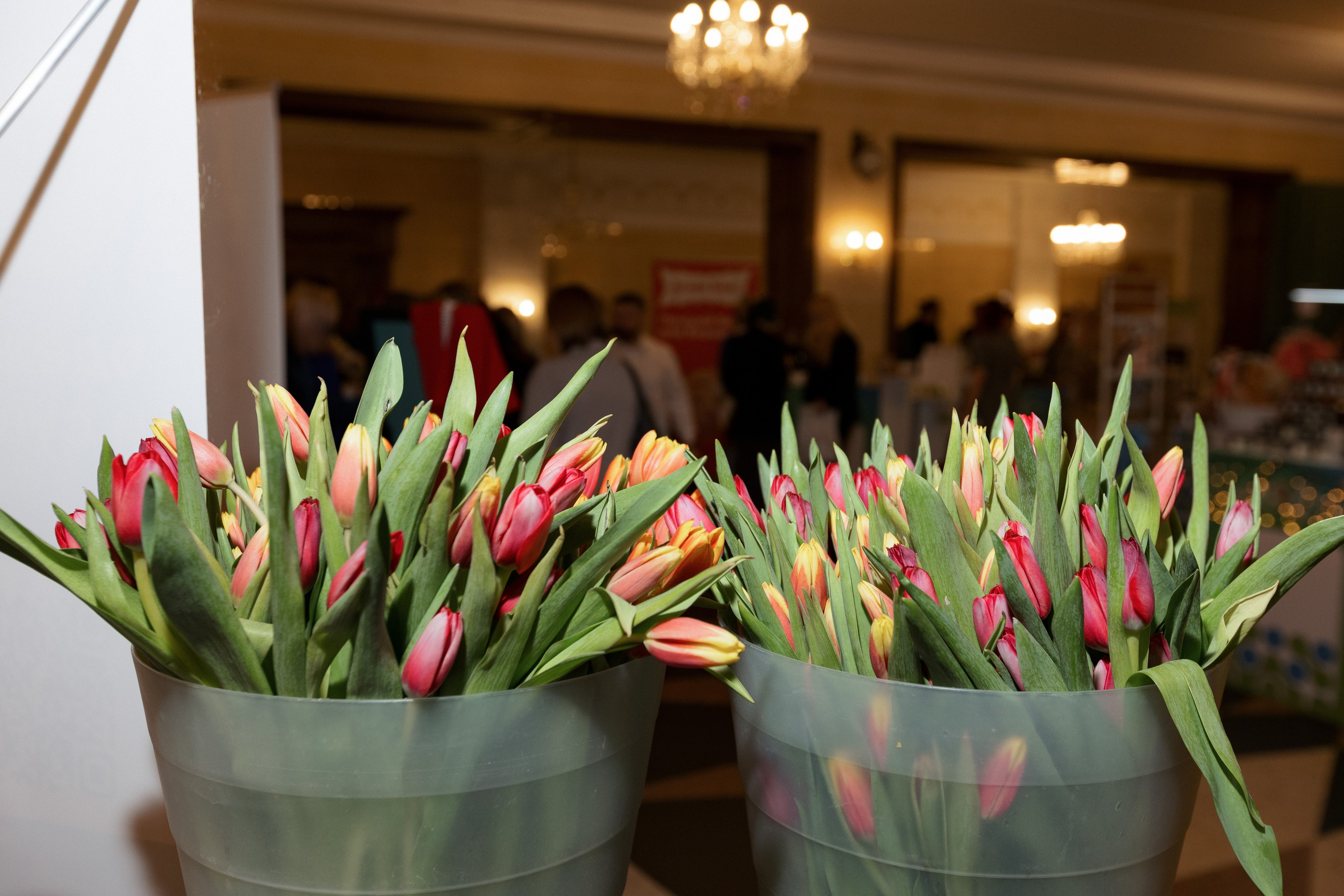 Конференция моды и дизайнеров — ТОЧКИ РОСТА 2026. СВОИ. ФОТООТЧЕТЫ-СОБЫТИЯ-МЕСТА