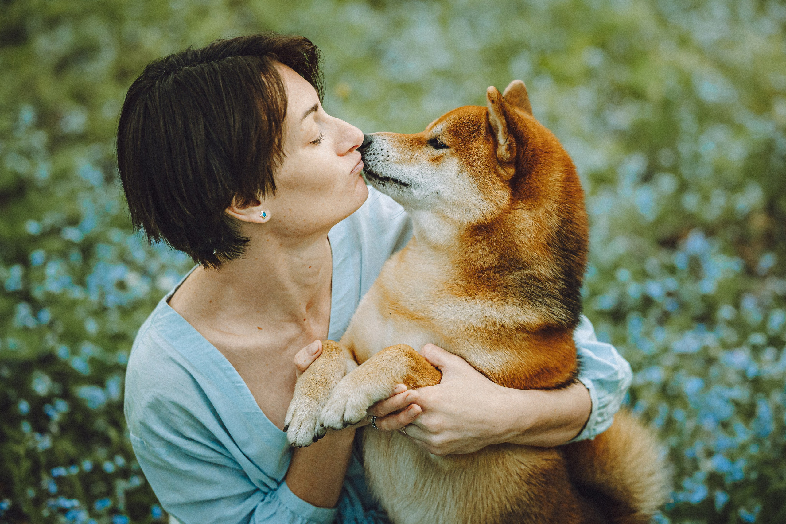 Шед, Цири, Чиби, Цера и их семья
