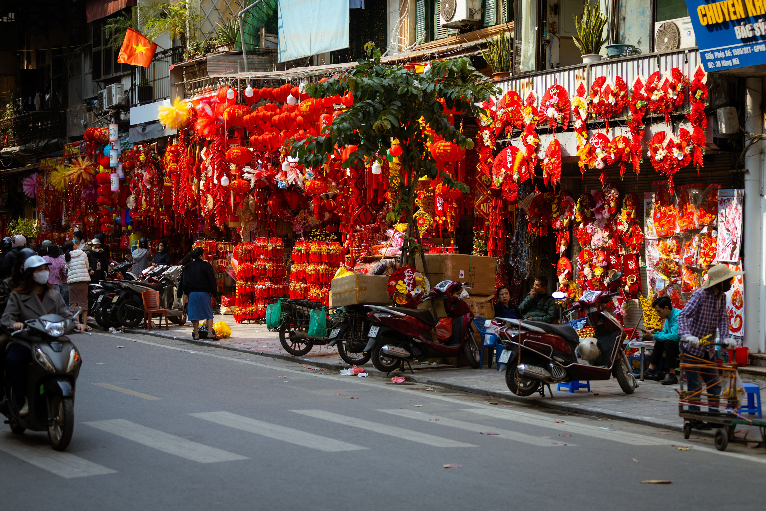 Вьетнам (зима 2025-2026). Фотограф Виноградов Константин