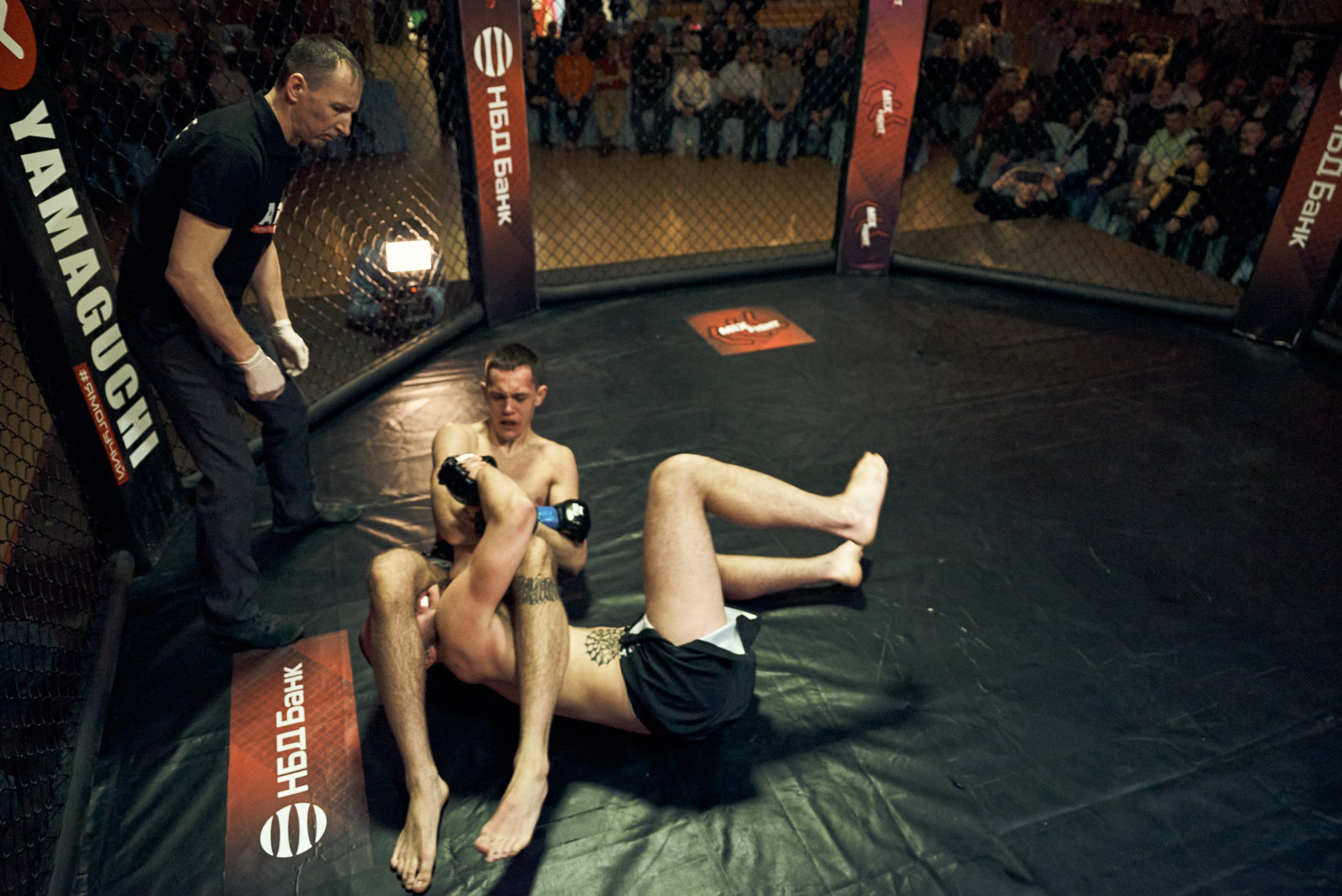 Бои. Маляревич Дмитрий свадебный фотограф