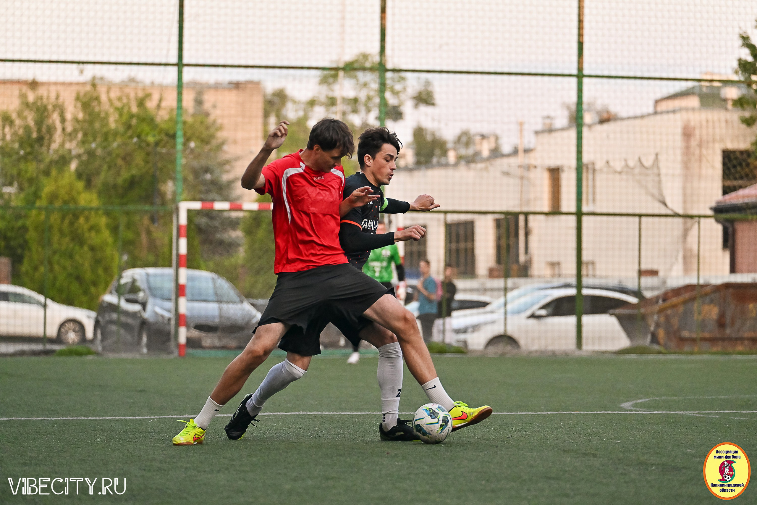 ИГРЫ ПЛЕЙ-ОФФ ПЕРВОГО ДИВИЗИОНА МИНИ-ФУТБОЛЬНОЙ ЛИГИ. VIBECITY.RU Вайб Сити Ру Фоторепортажи Фотоотчеты Калининград