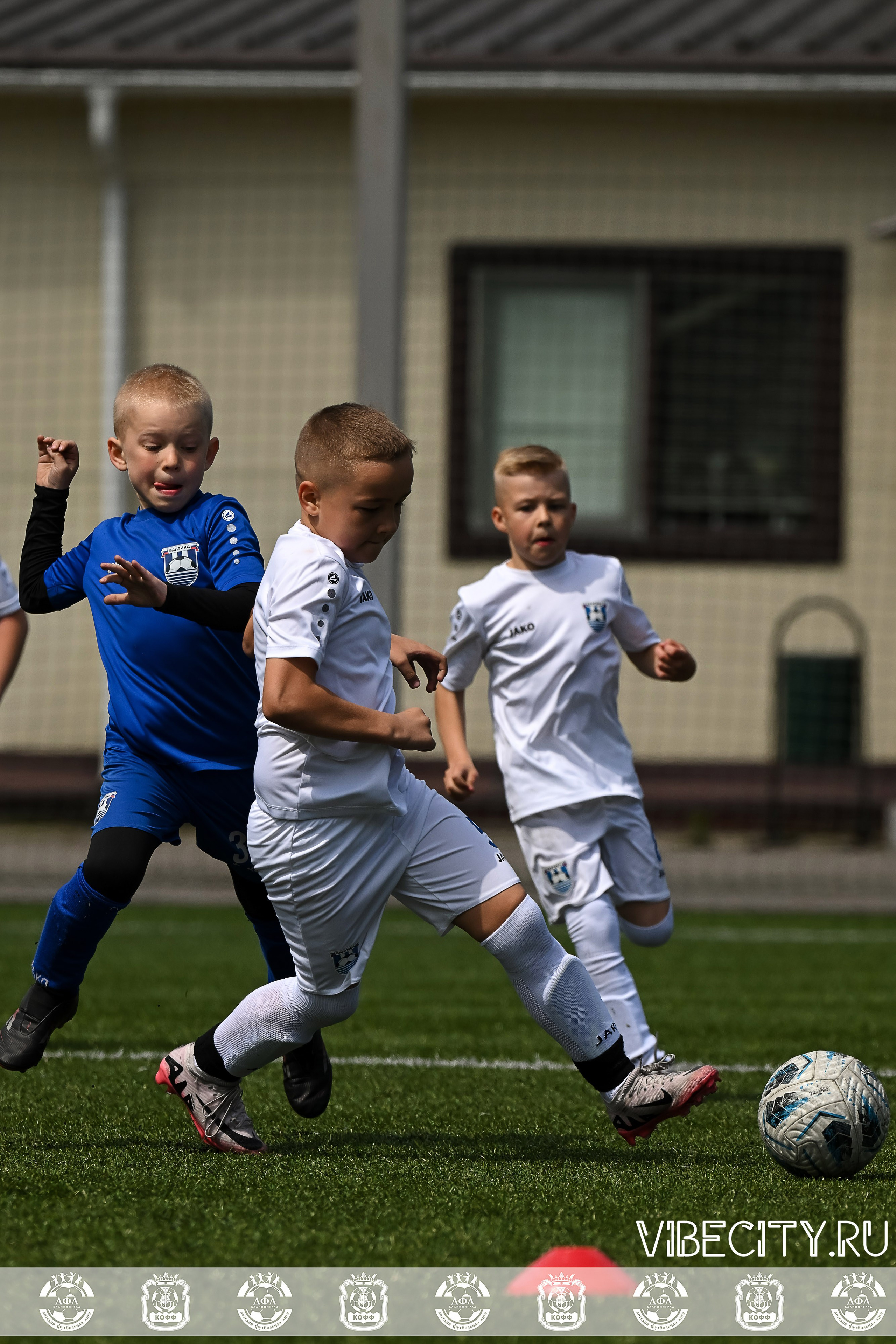 Большие Звезды светят Малым. VIBECITY.RU Вайб Сити Ру Фоторепортажи Фотоотчеты Калининград