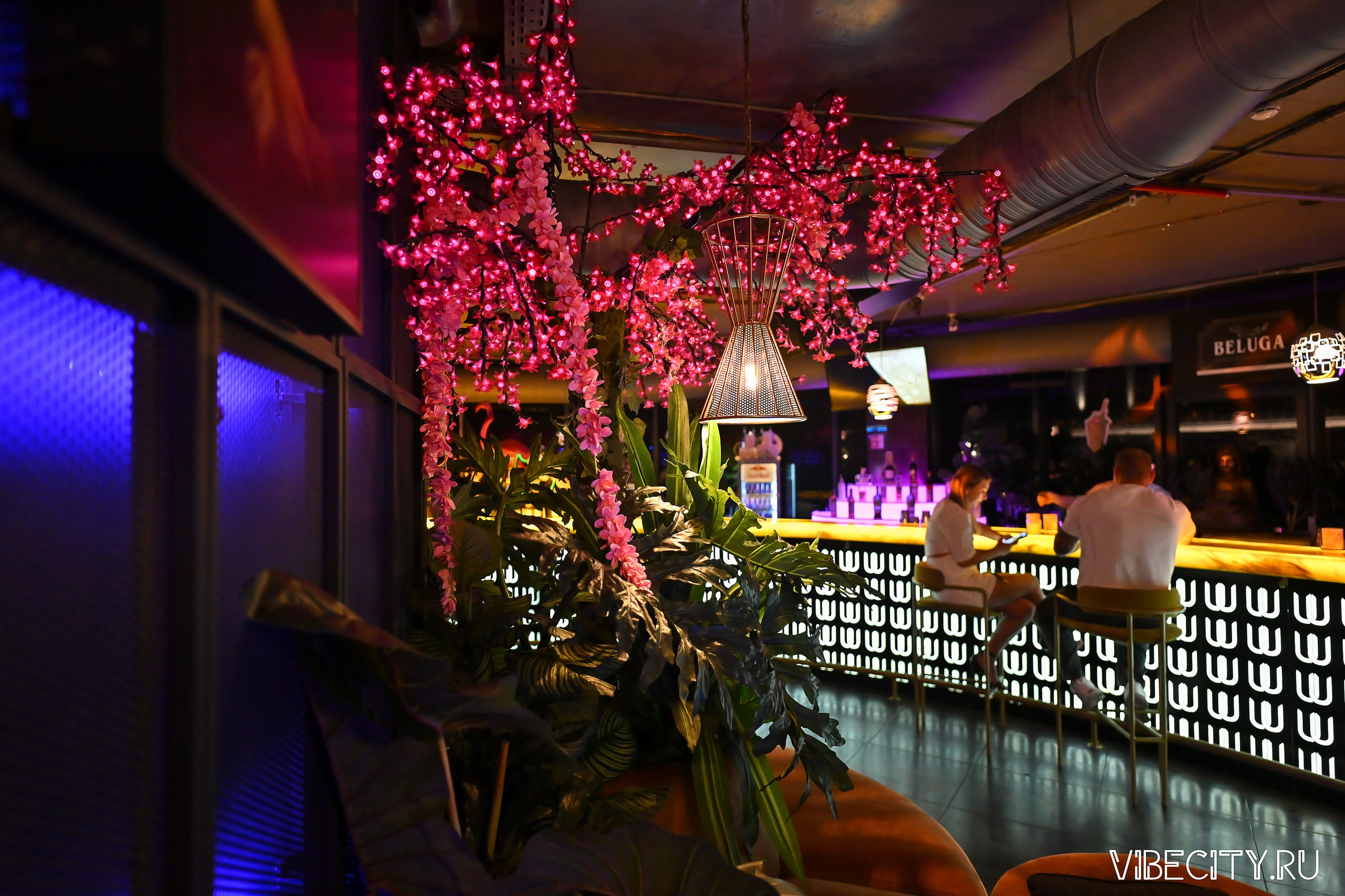 DOUBLE U. VIBECITY.RU Вайб Сити Ру Фоторепортажи Фотоотчеты Калининград