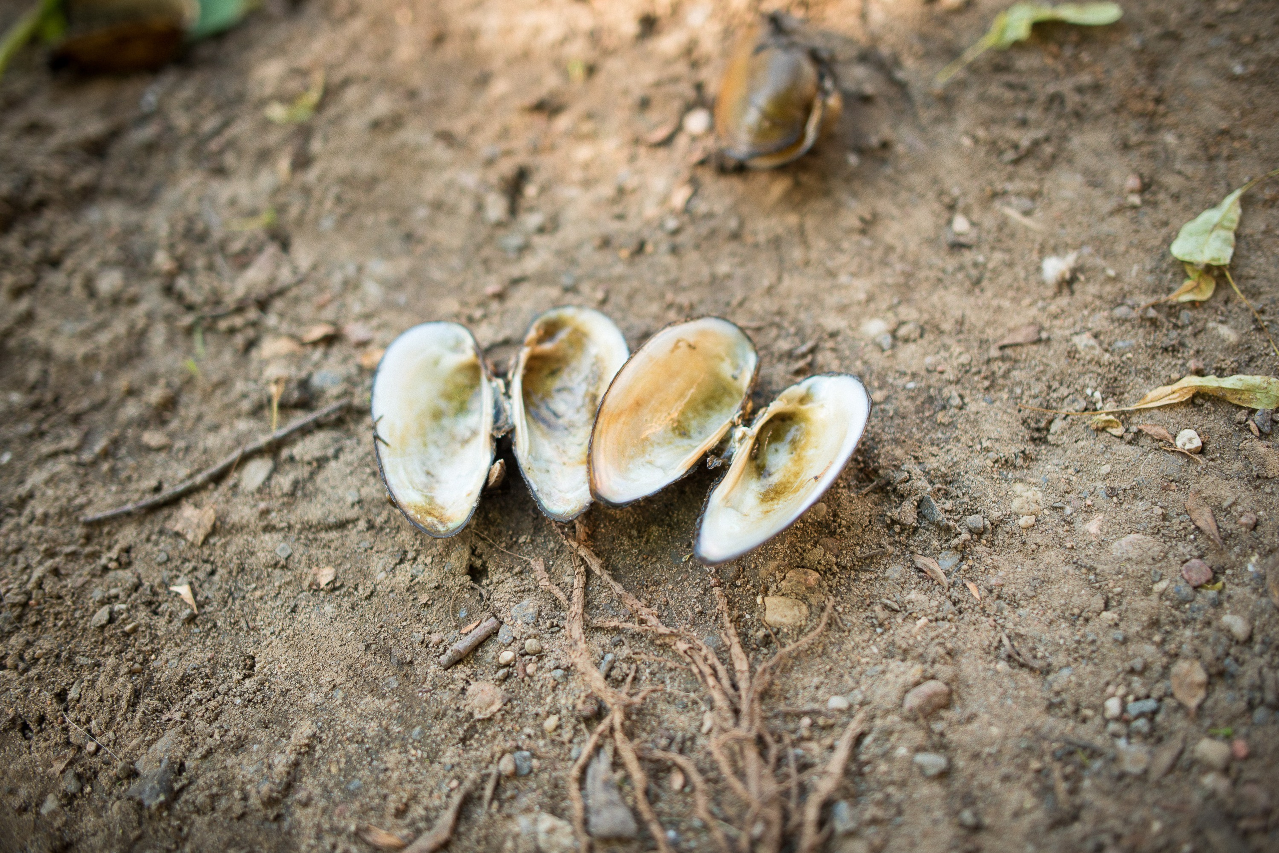 Park Family Walk. Documentary family photography in Barcelona and beyond