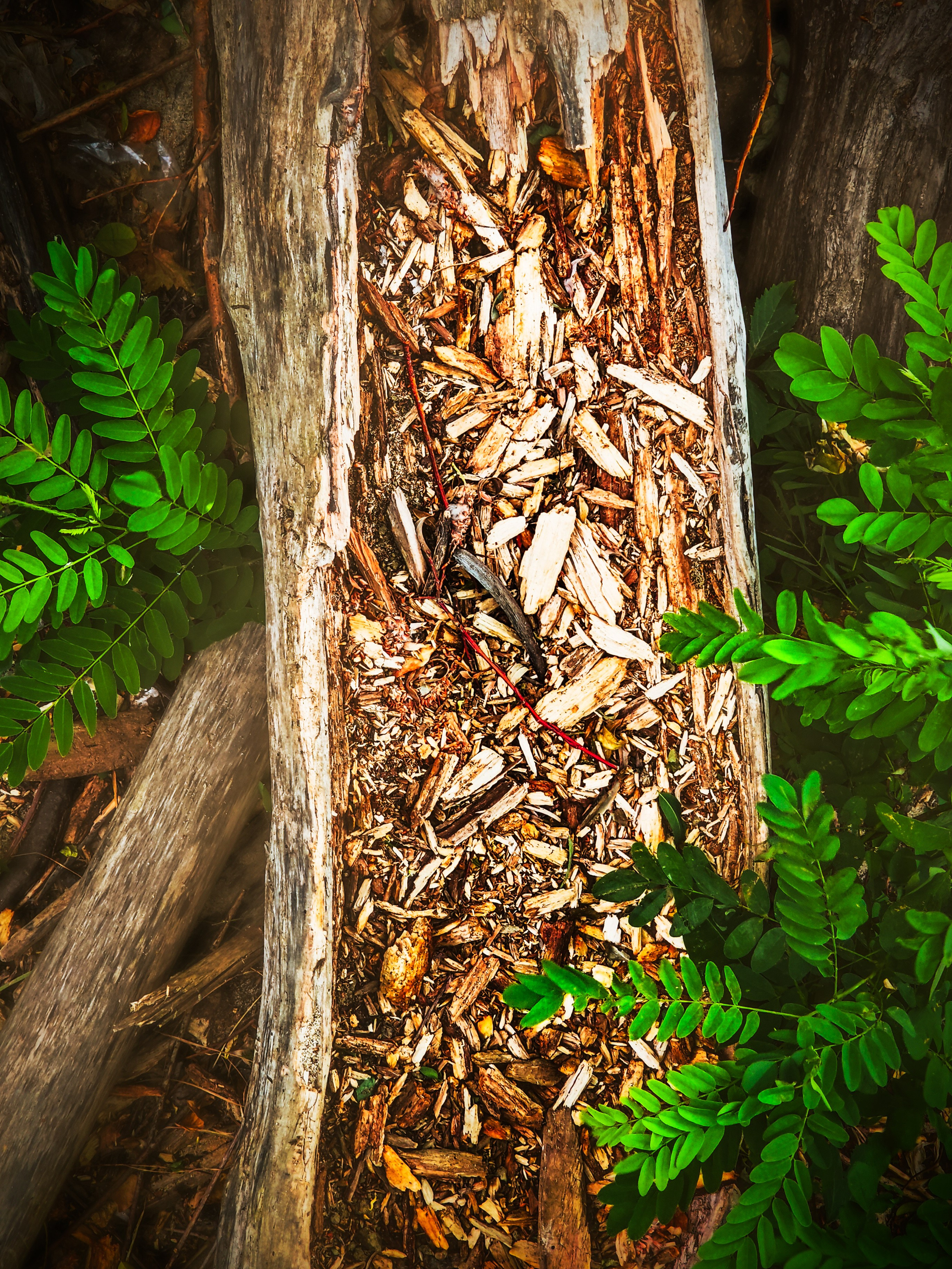 Пейзажи и уличная съёмка