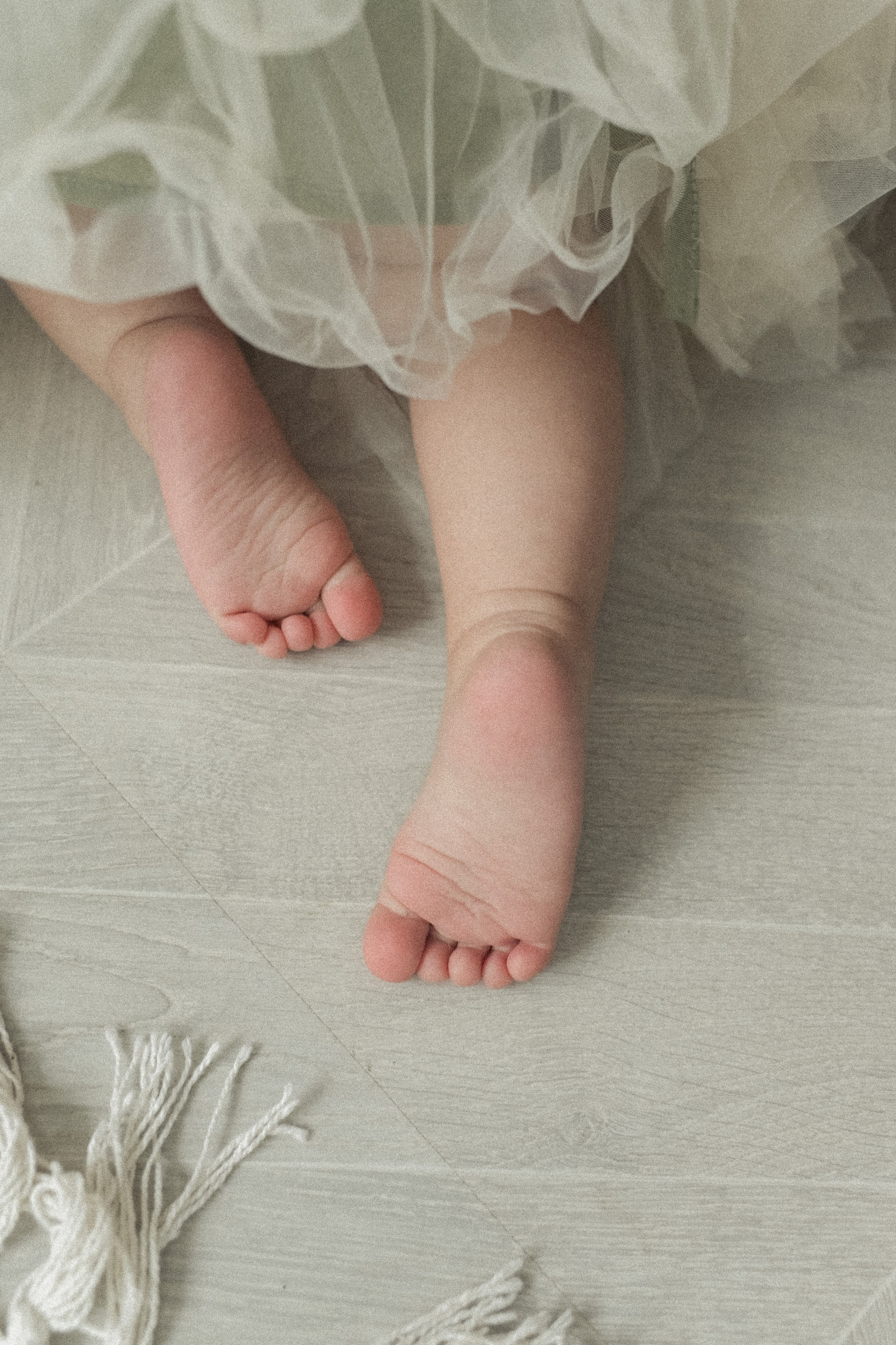 Семейная фотосессия. Фотограф Светлана Скороходова Владимир-Москва