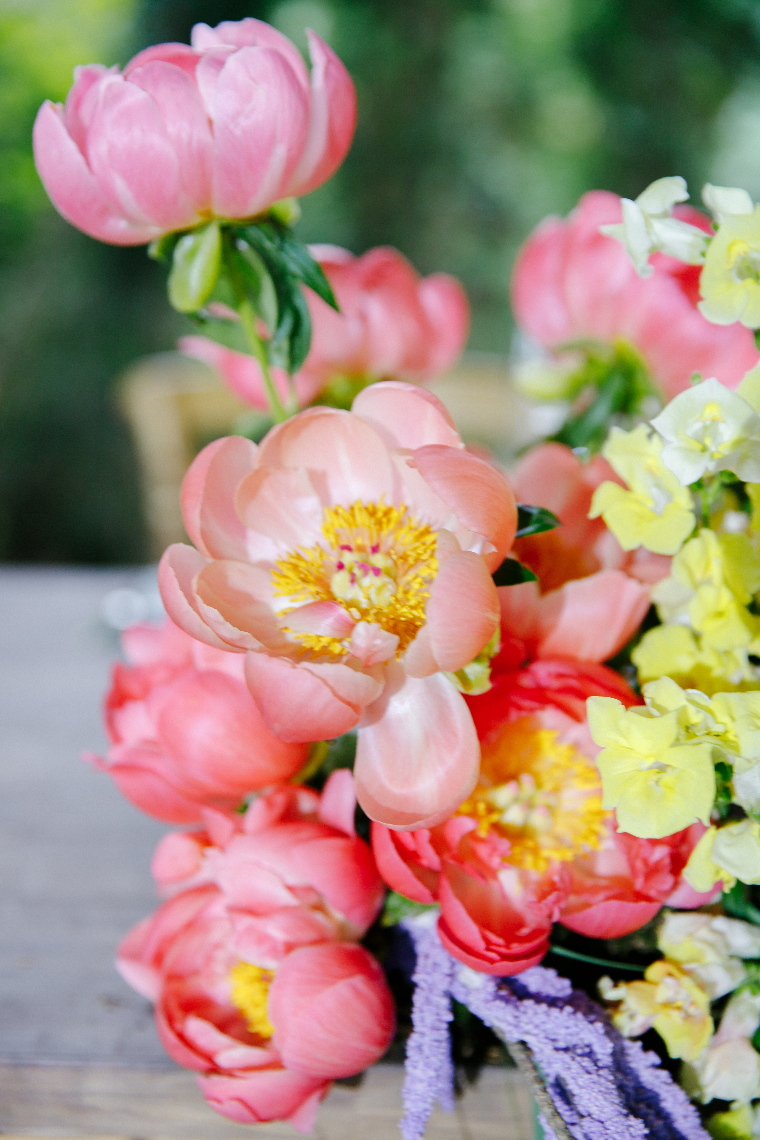 Павел & Полина. Оформление свадеб, декор свадеб Вера Маркова, Москва