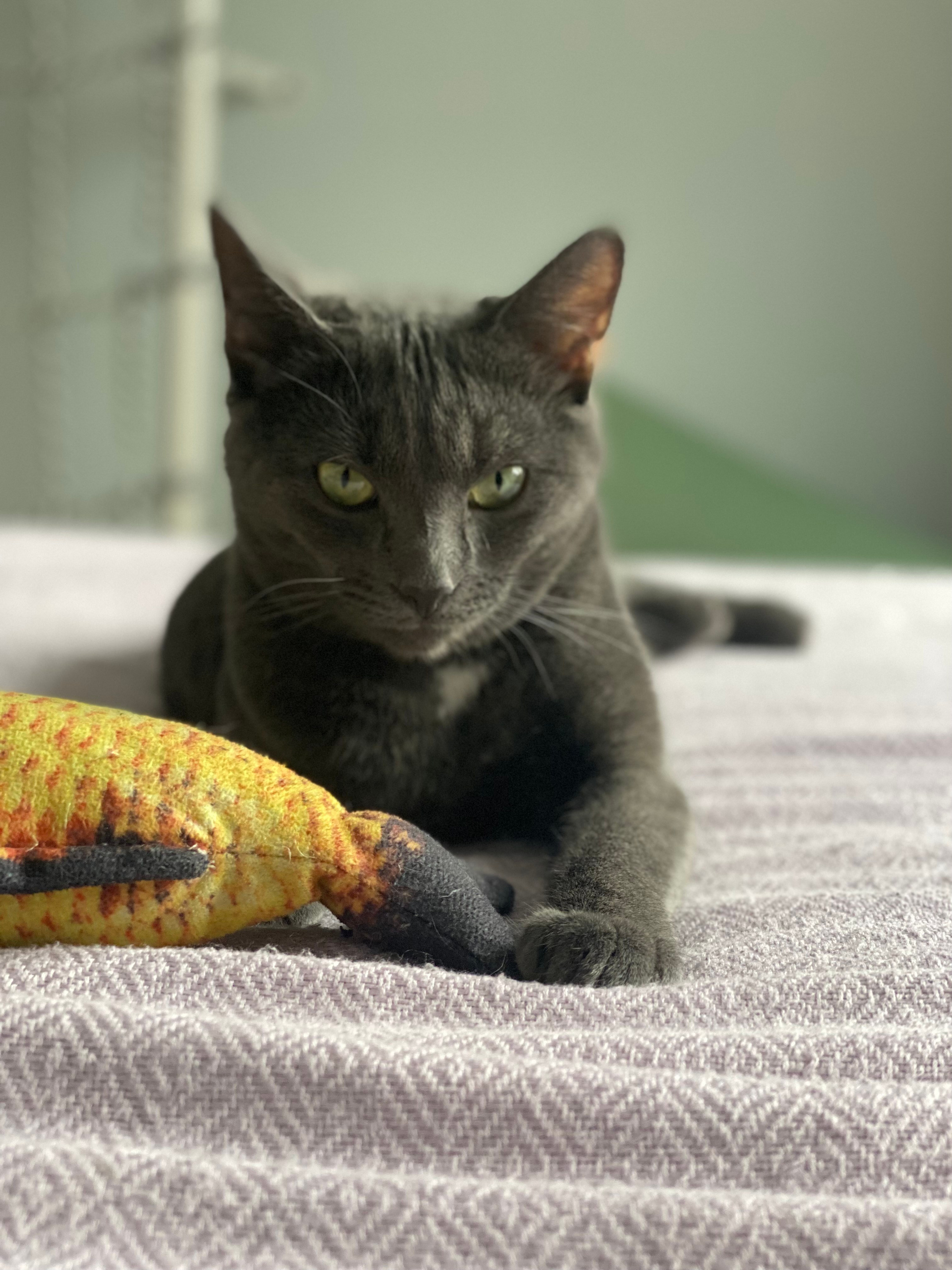 Мобильное фото. Фотограф в Москве Айгуль Евграфова