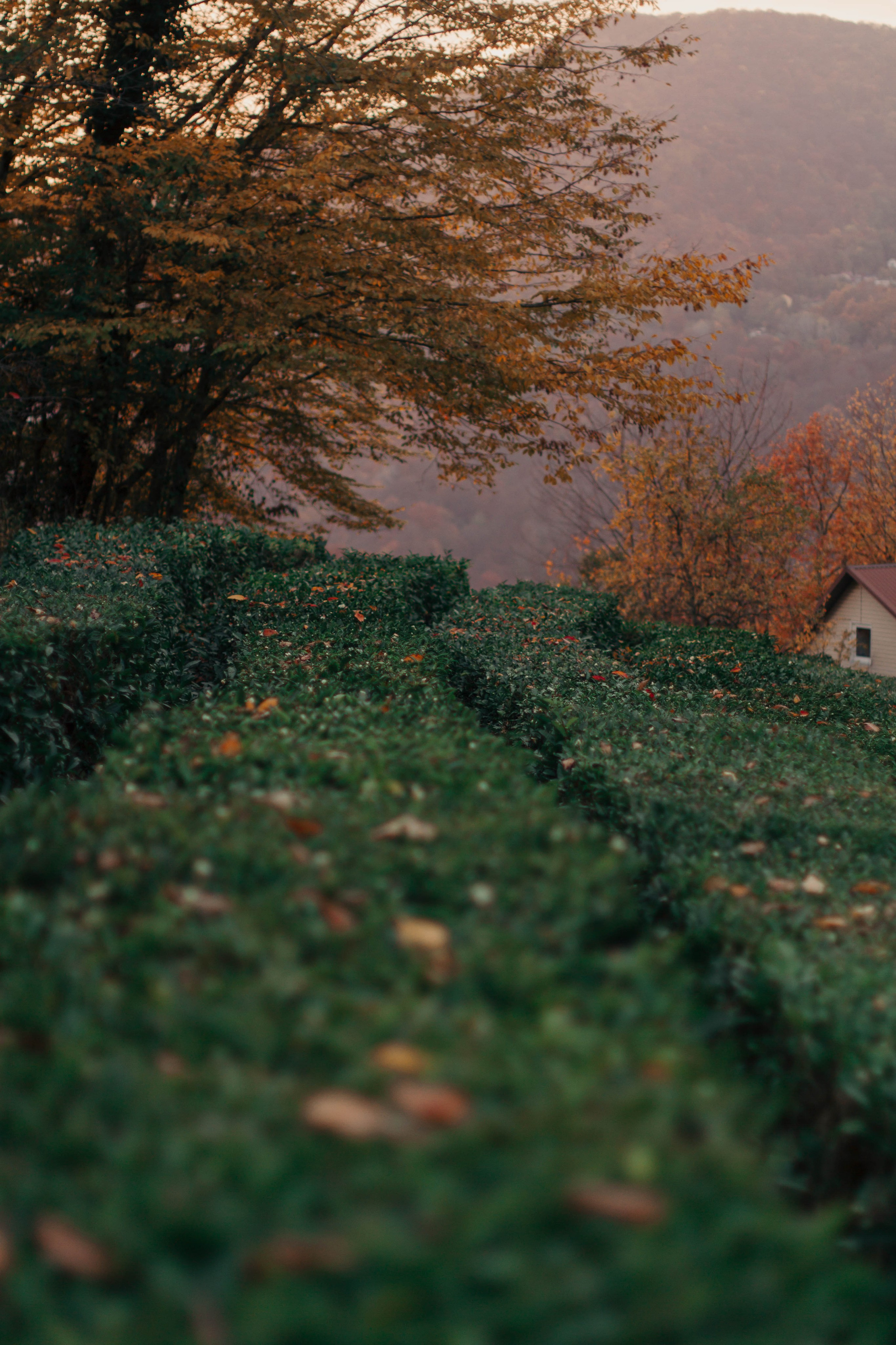 Сева. Фотограф Милованова Александра
