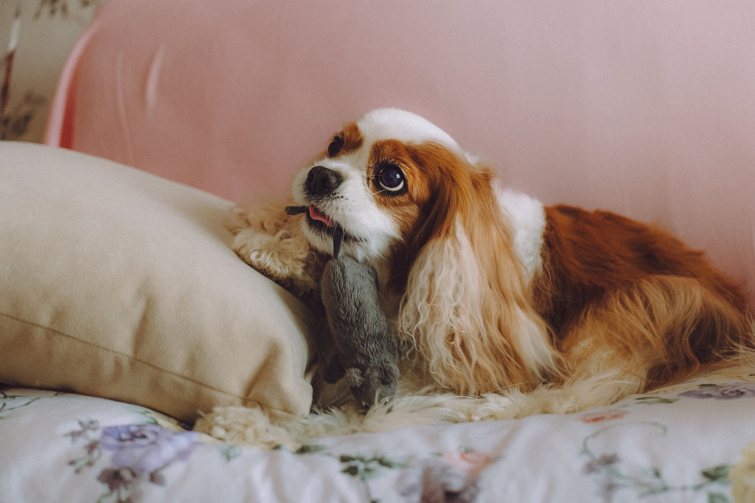 Наташа и Вики