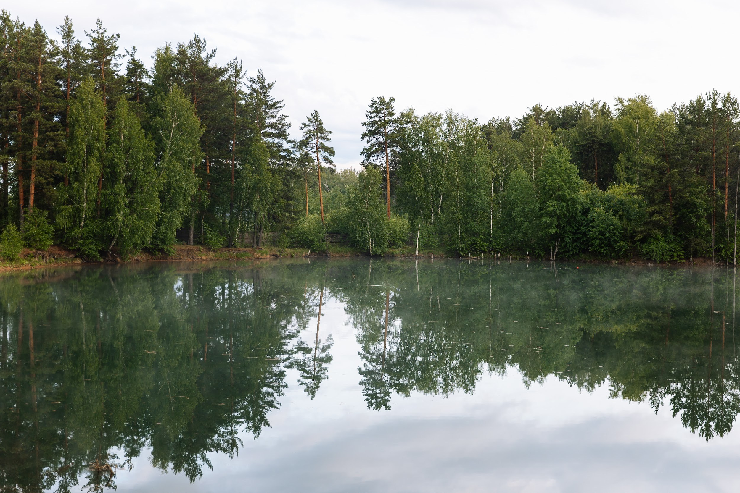 8.06 Стас и Света. Свадебный организатор Екатеринбург