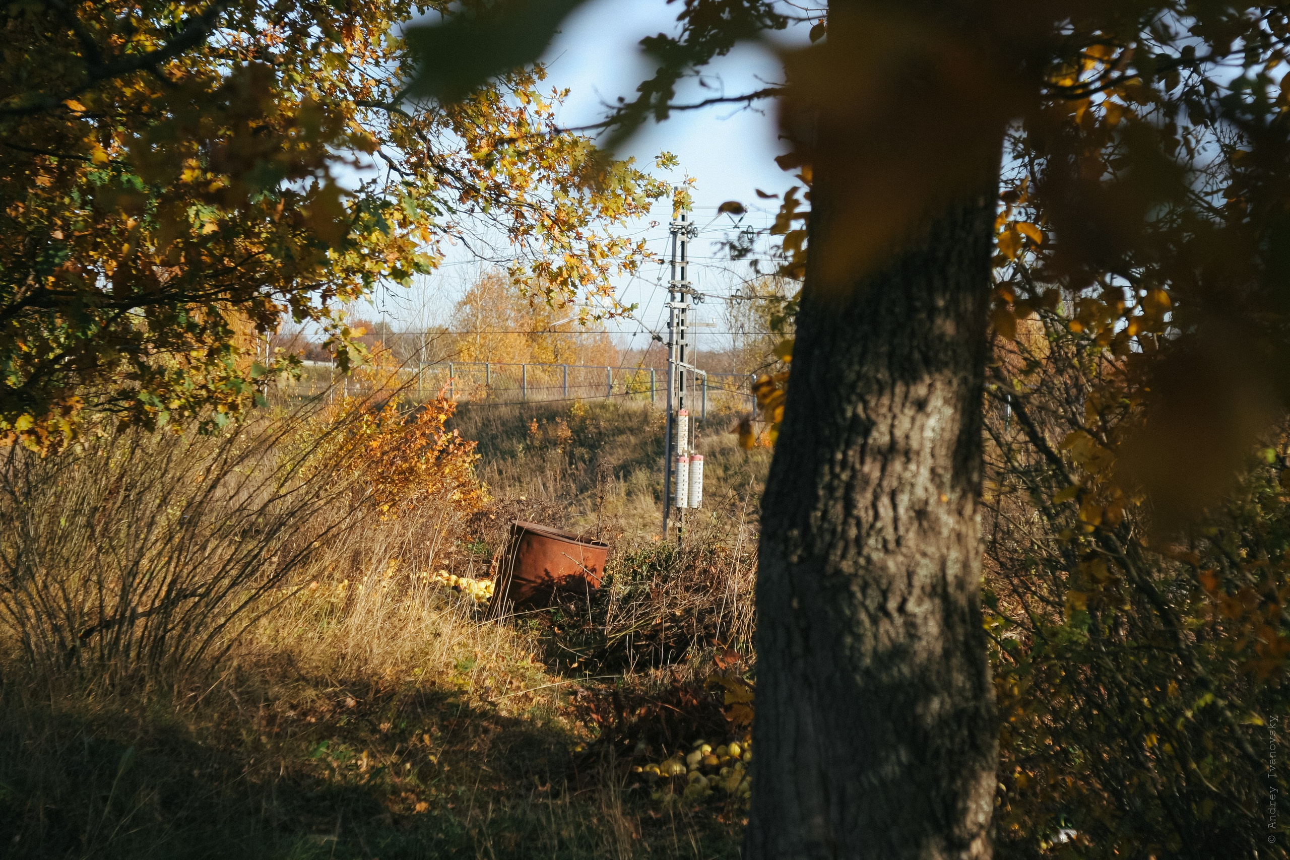 Дачные дела — Canon EOS 350D / Индустар 50-2 50/3.5. Famitsu