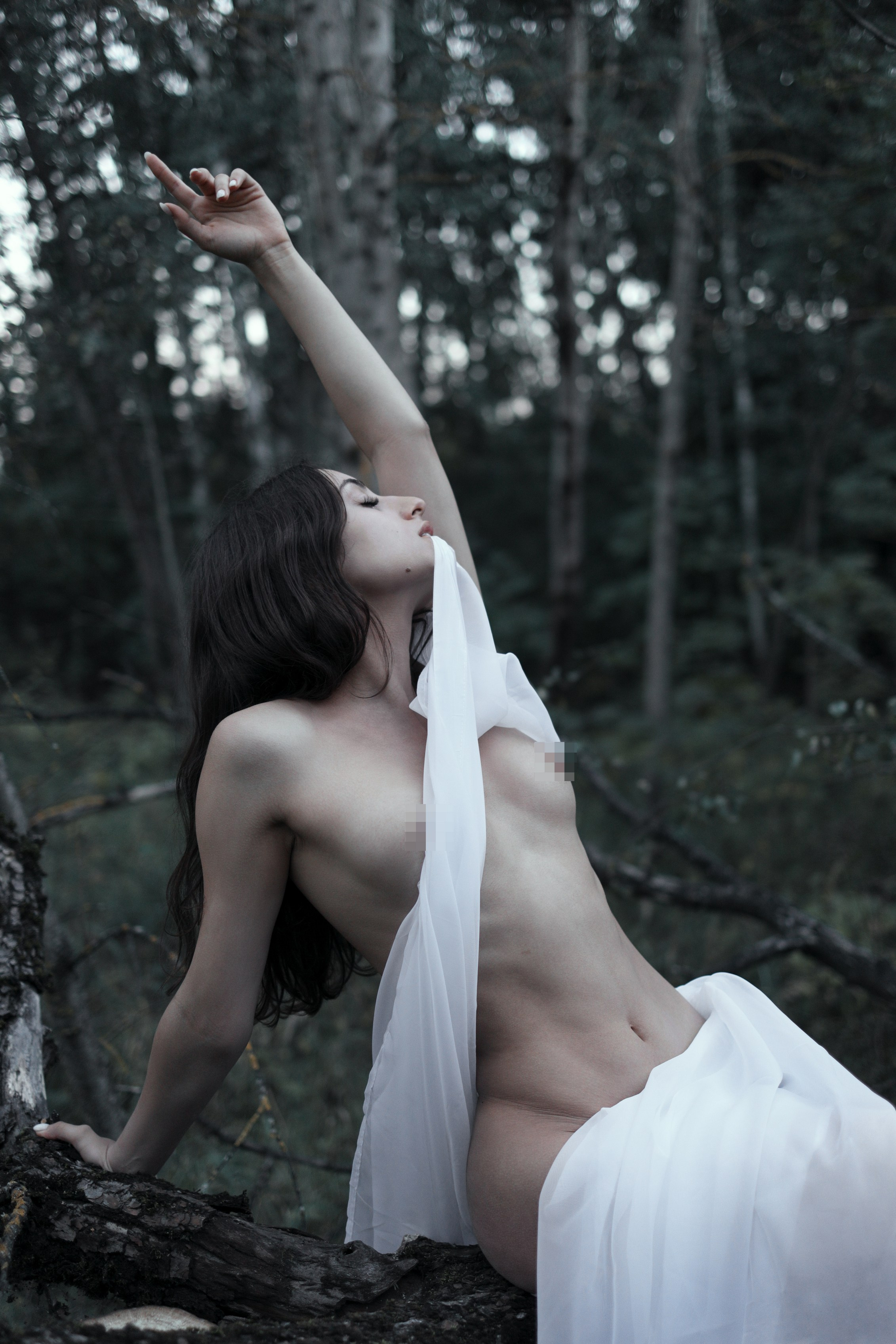 Ύδωρ και δάσος. Арт-фотограф. Coffelisk