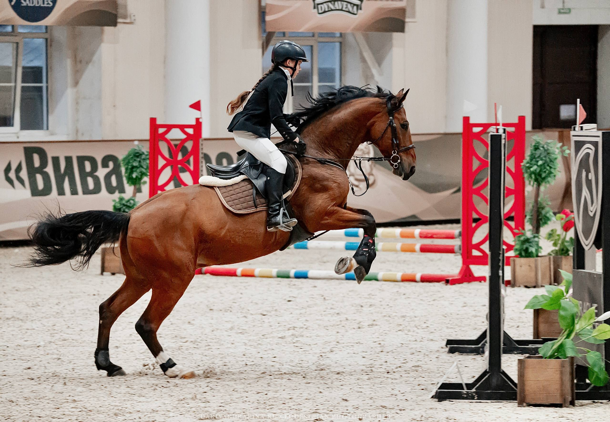 ВСЕРОССИЙСКИЕ СОРЕВНОВАНИЯ ПО КОНКУРУ НА ПРИЗЫ КСК «ВИВАТ, РОССИЯ!». Куракина Дарья • Конный фотограф