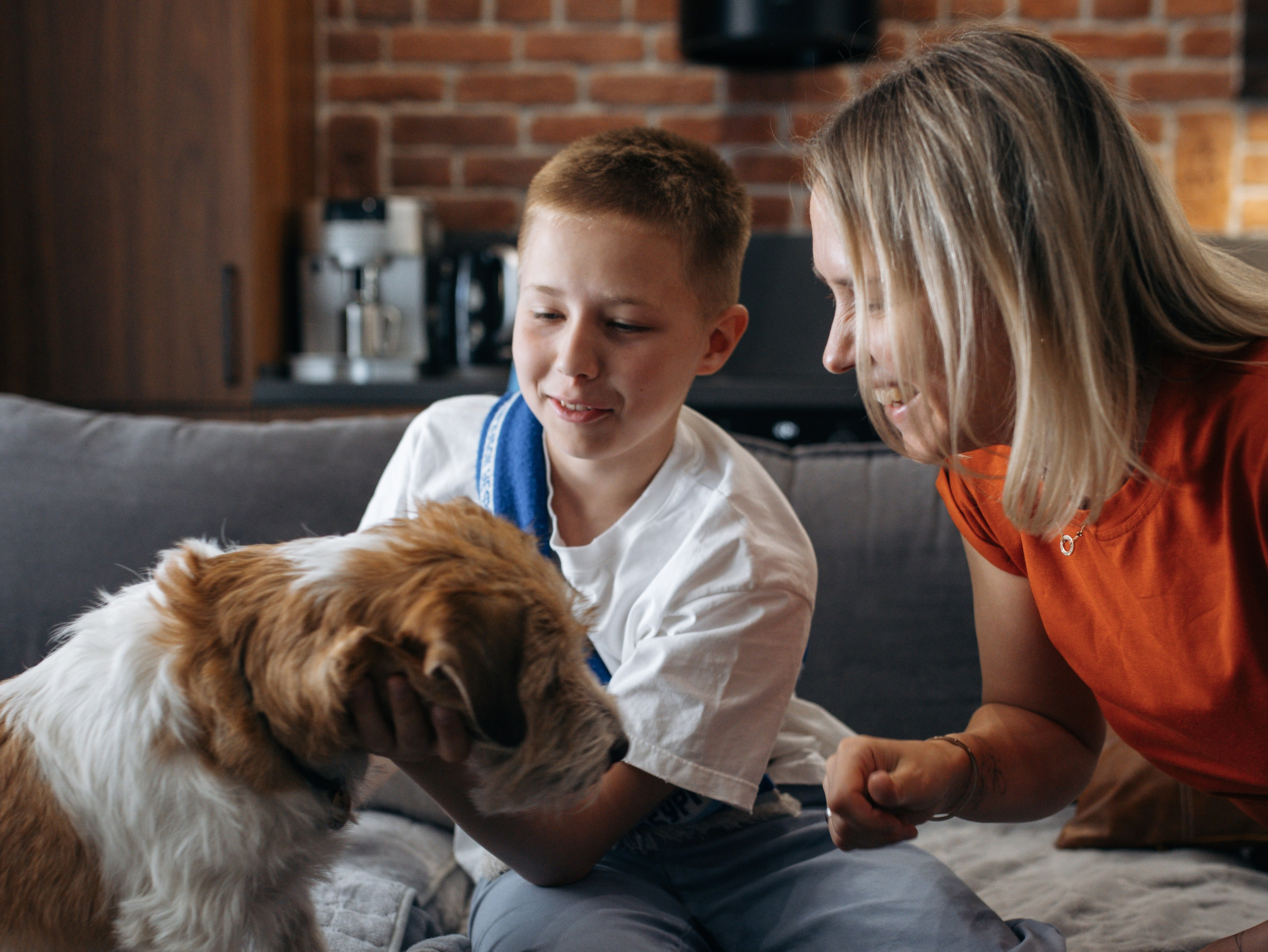 День рождение Зенита. Фотограф-анималист в Москве Кириллова Татьяна