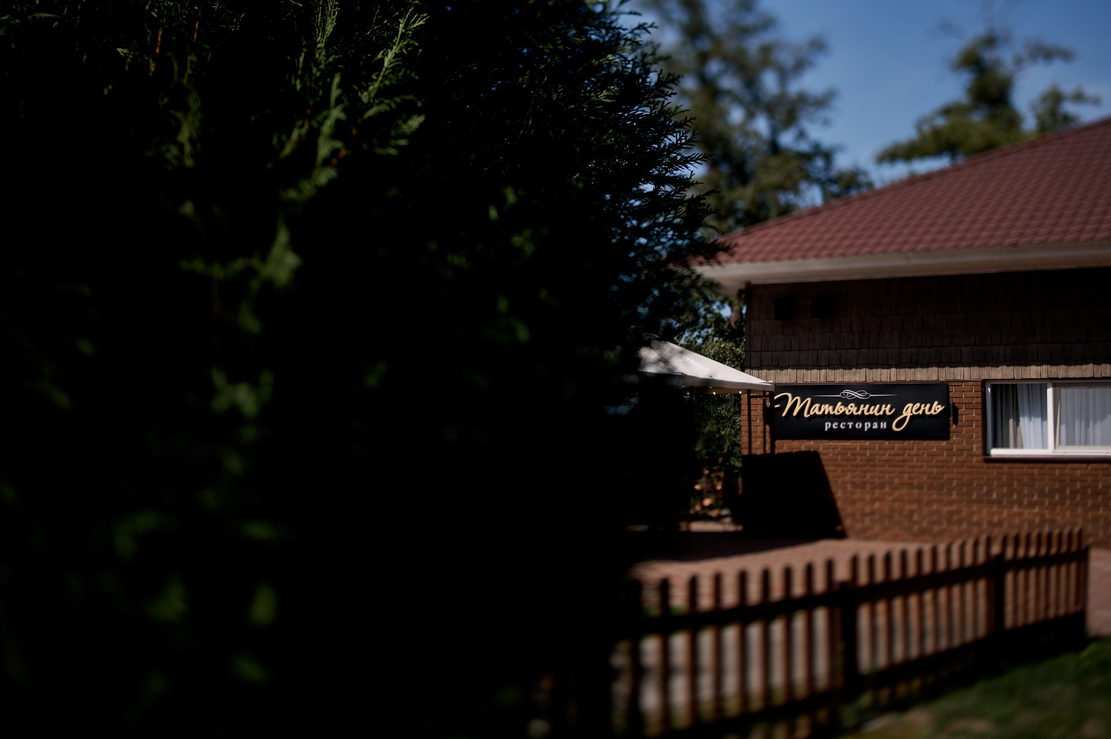 Андрей & Наташа. Свадебный фотограф в Тамбове Синельников Александр