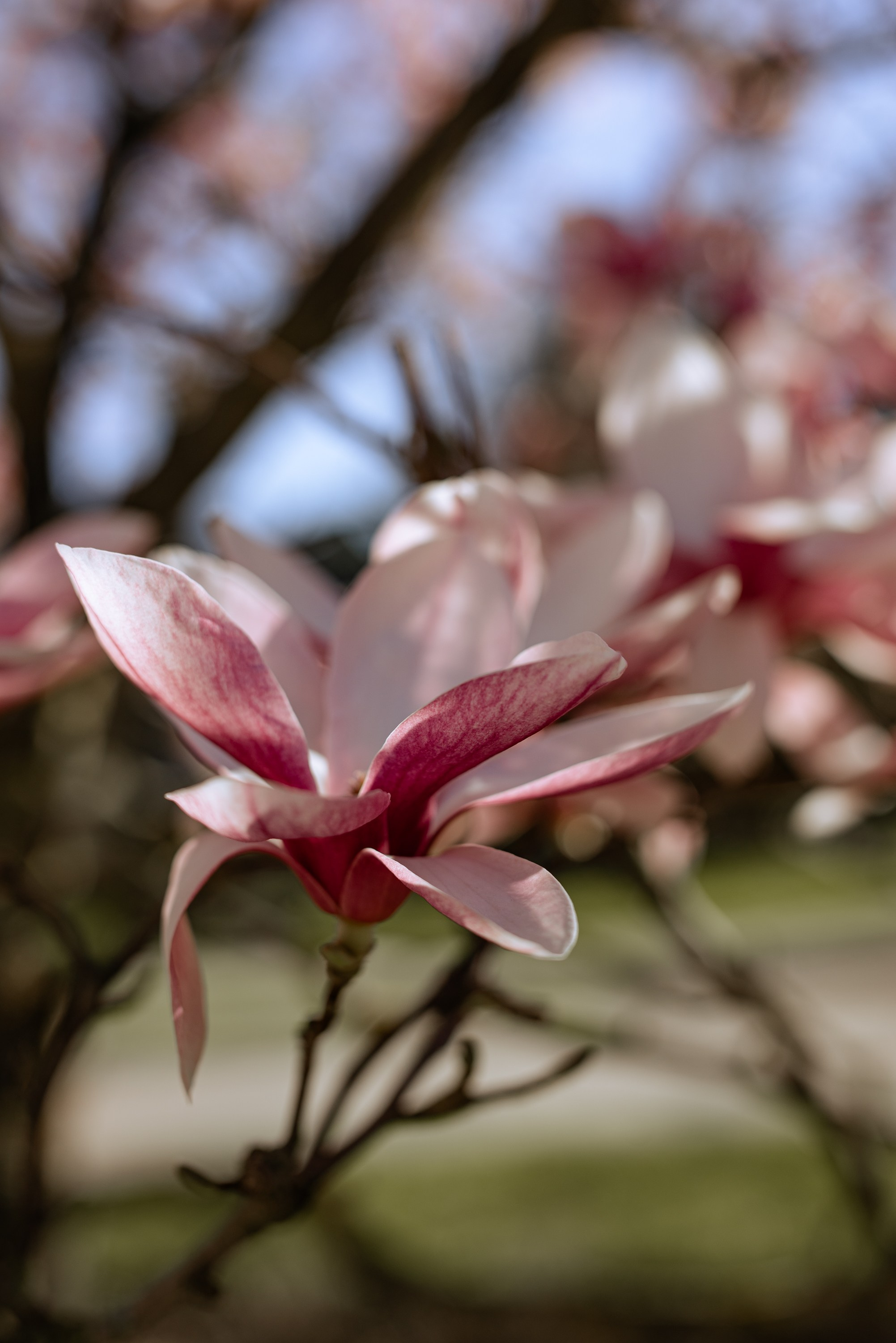 Фотосессия в горячем ключе. Свадебный фотограф в Горячем Ключе Смирнова Дина