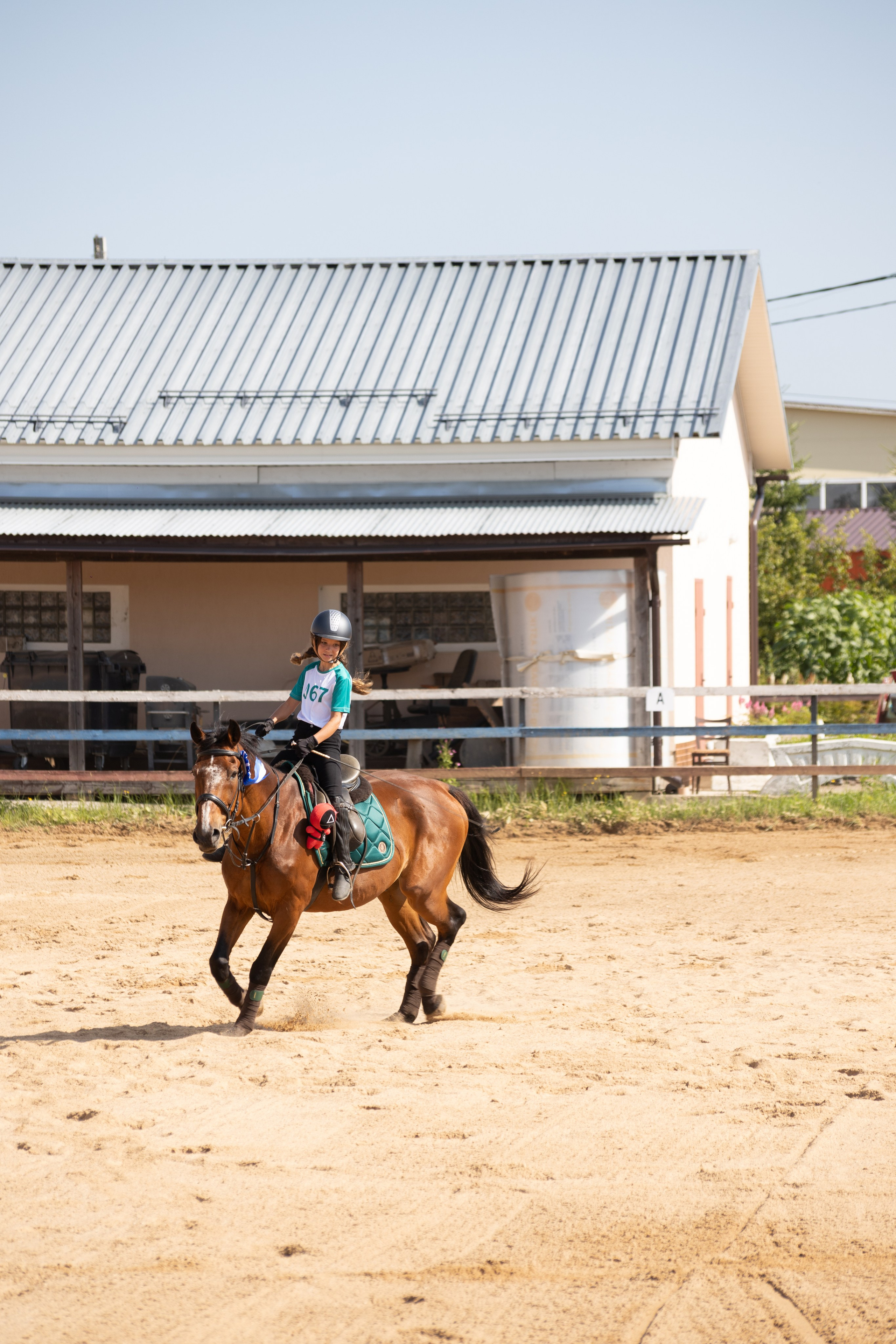 Конюшня. Фотограф в Москве и Истре
