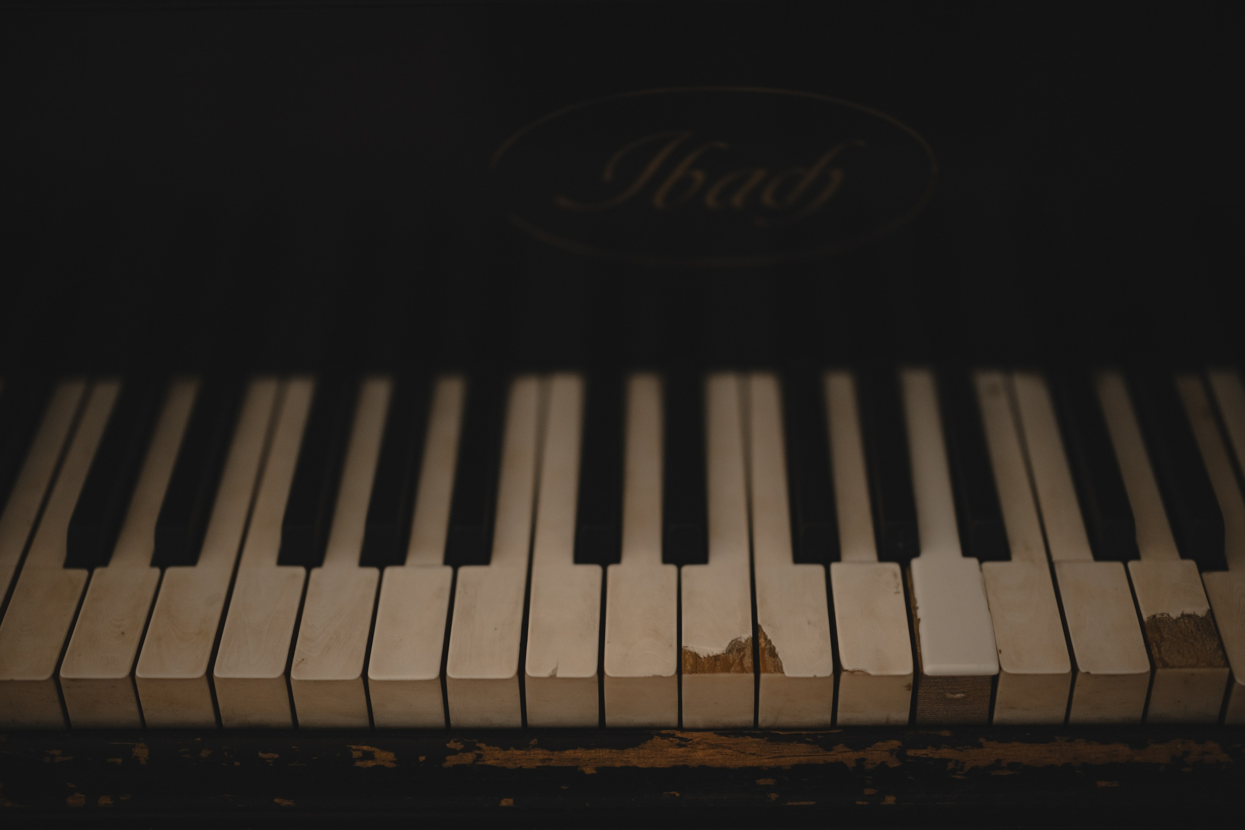 Весна в Москве (серия собирается). Свадебный и семейный фотограф и видеограф, Крым, Москва, Санкт -Петербург