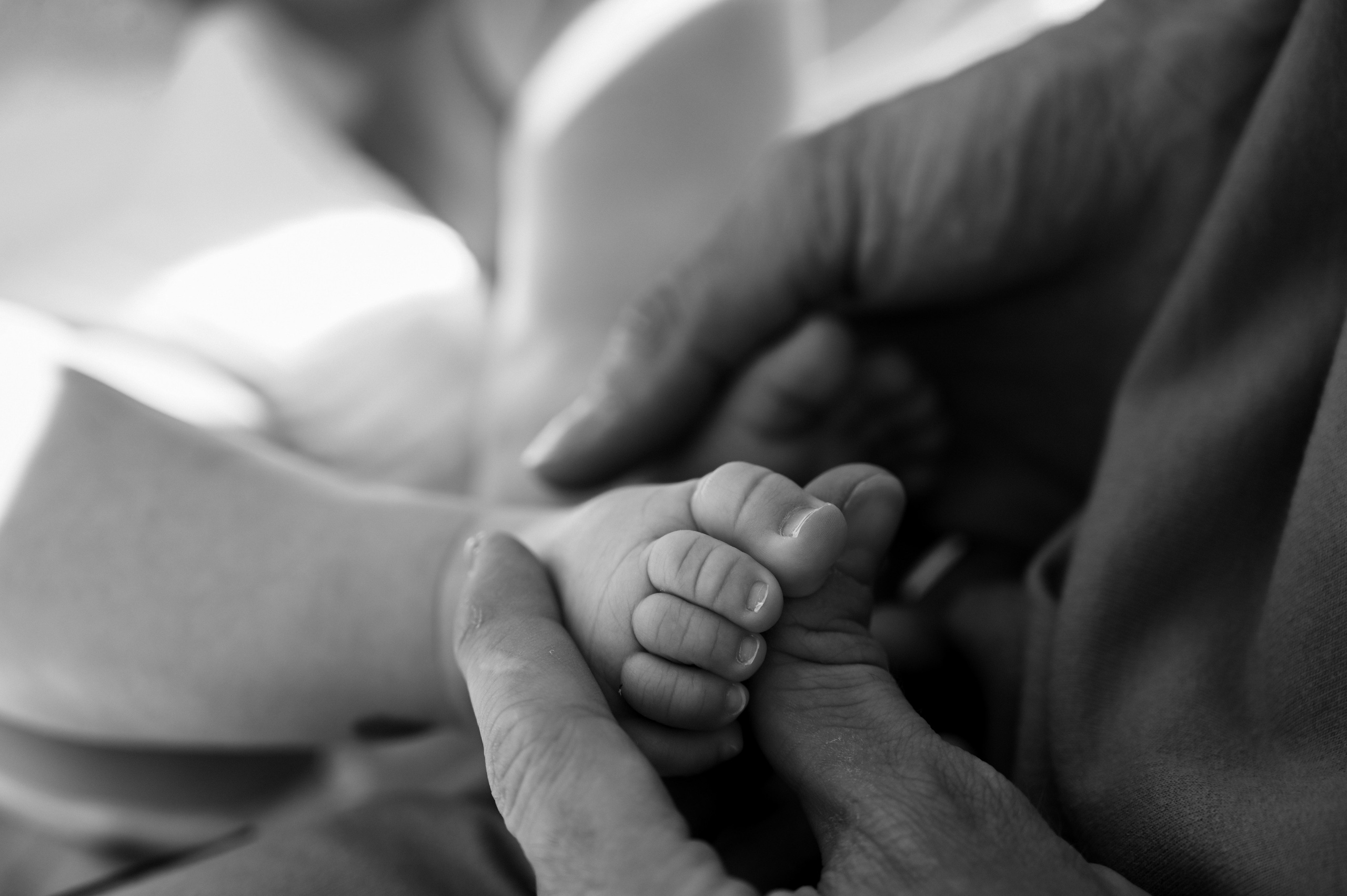 Семейная. Таня Чернова