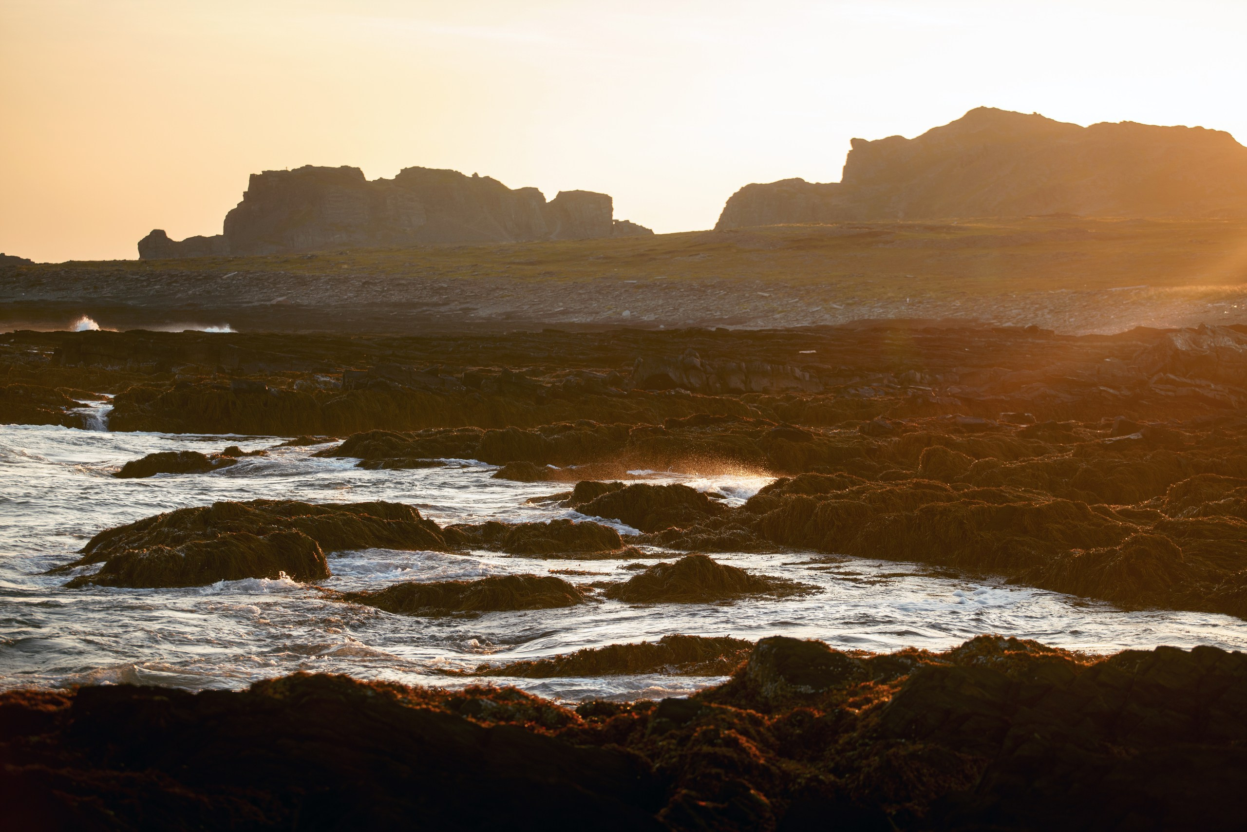 Кольский. Карелия. Фотограф в Красноярске Нерозя Александр. Пейзаж, природа, портрет