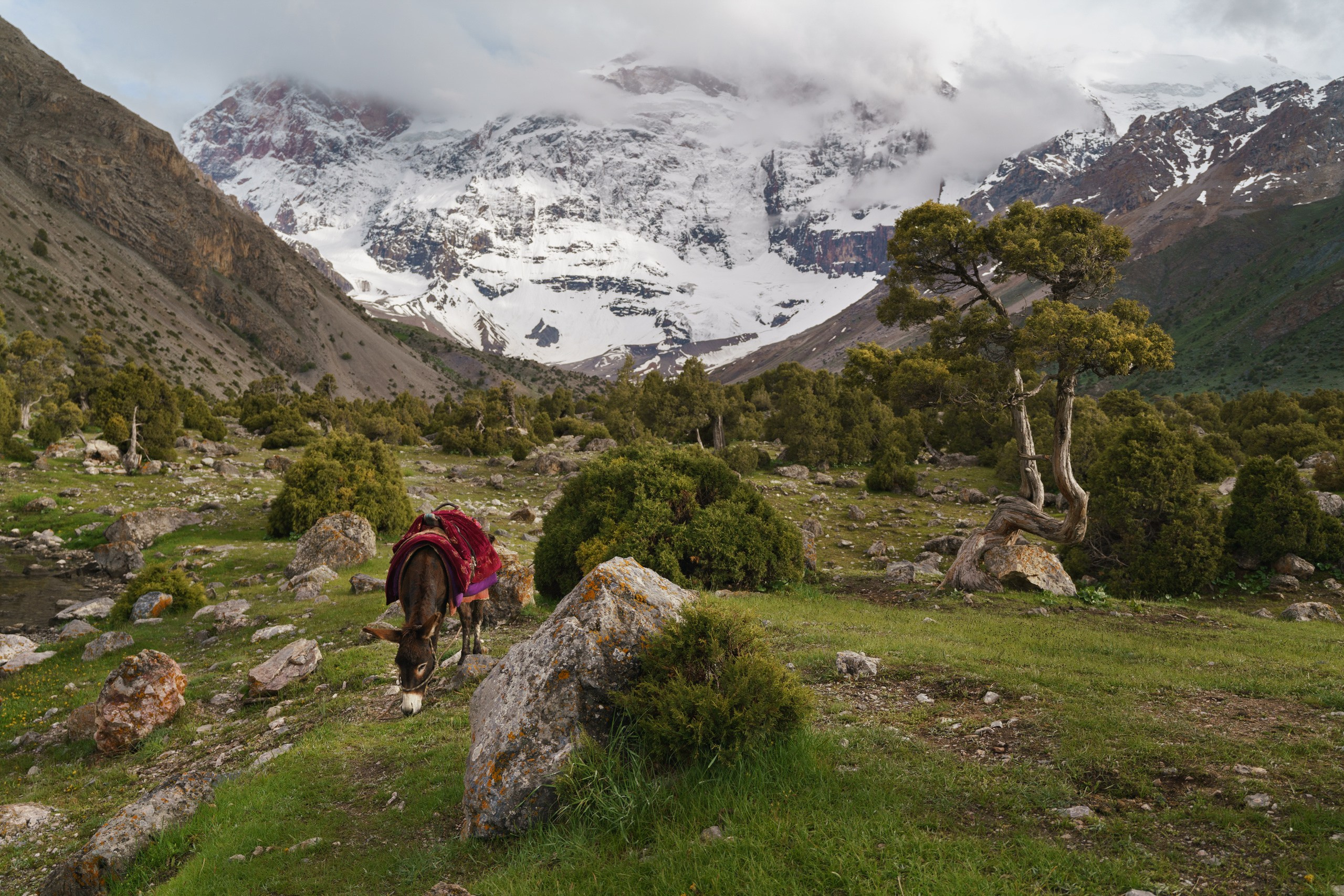 Фанские горы. Фотограф в Красноярске Нерозя Александр. Пейзаж, природа, портрет