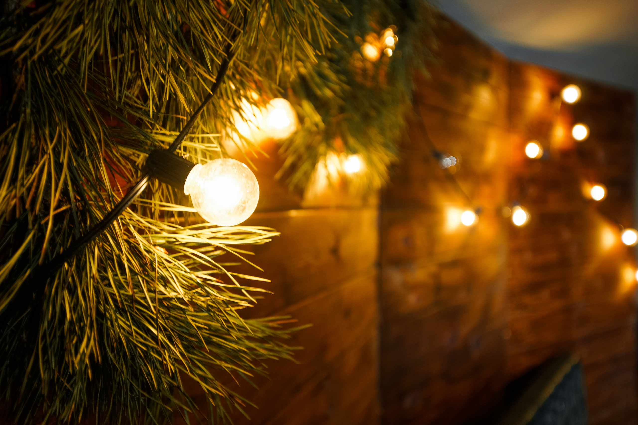 Свадьба Яны и Ярослава. Комсомольск-на-Амуре, Солнечный (Пастораль). Wedding & portrait photographer Sergey Lazarenko