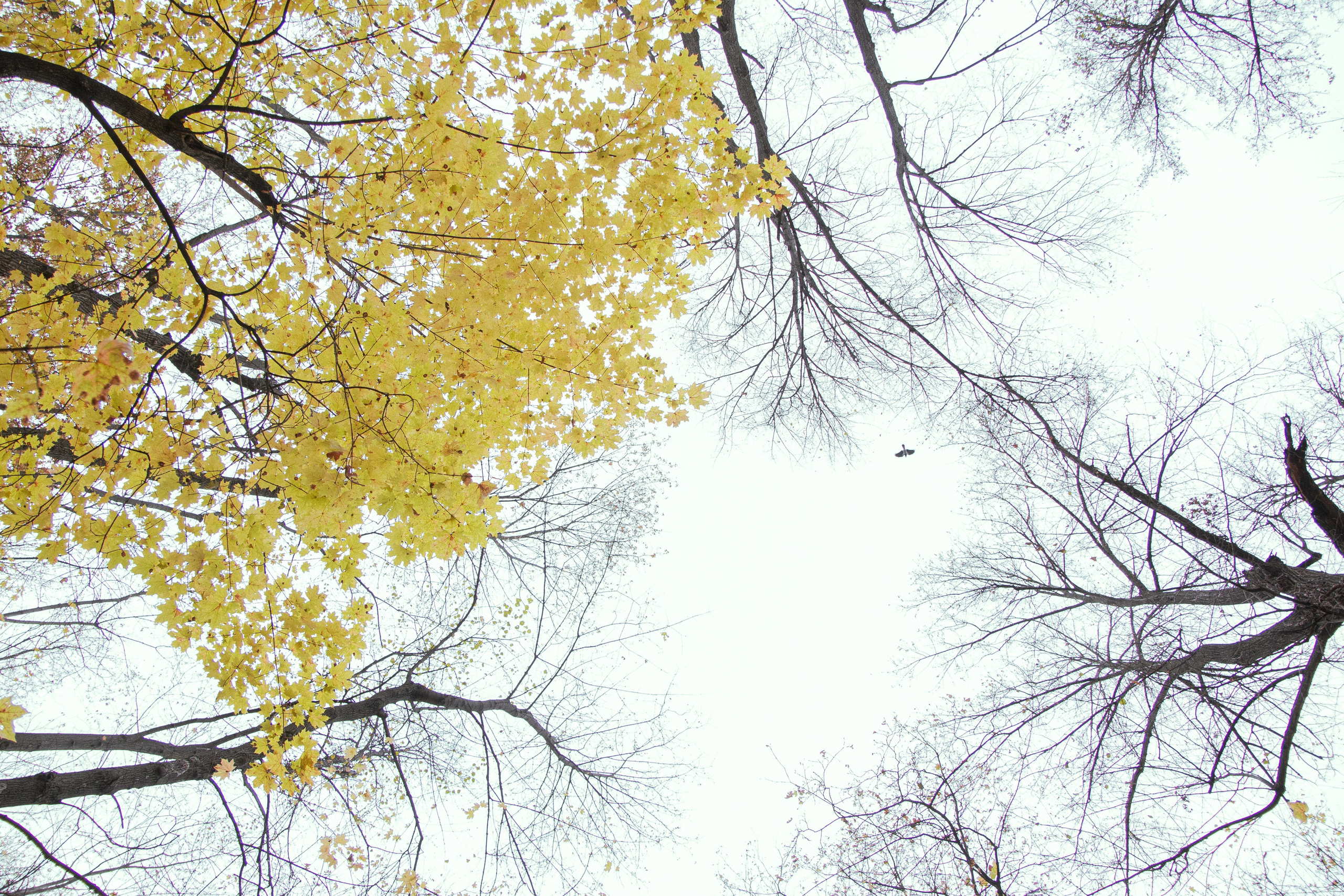 Русско-Немецкая Швейцария. Арсений Марасинский — фотограф в Казани