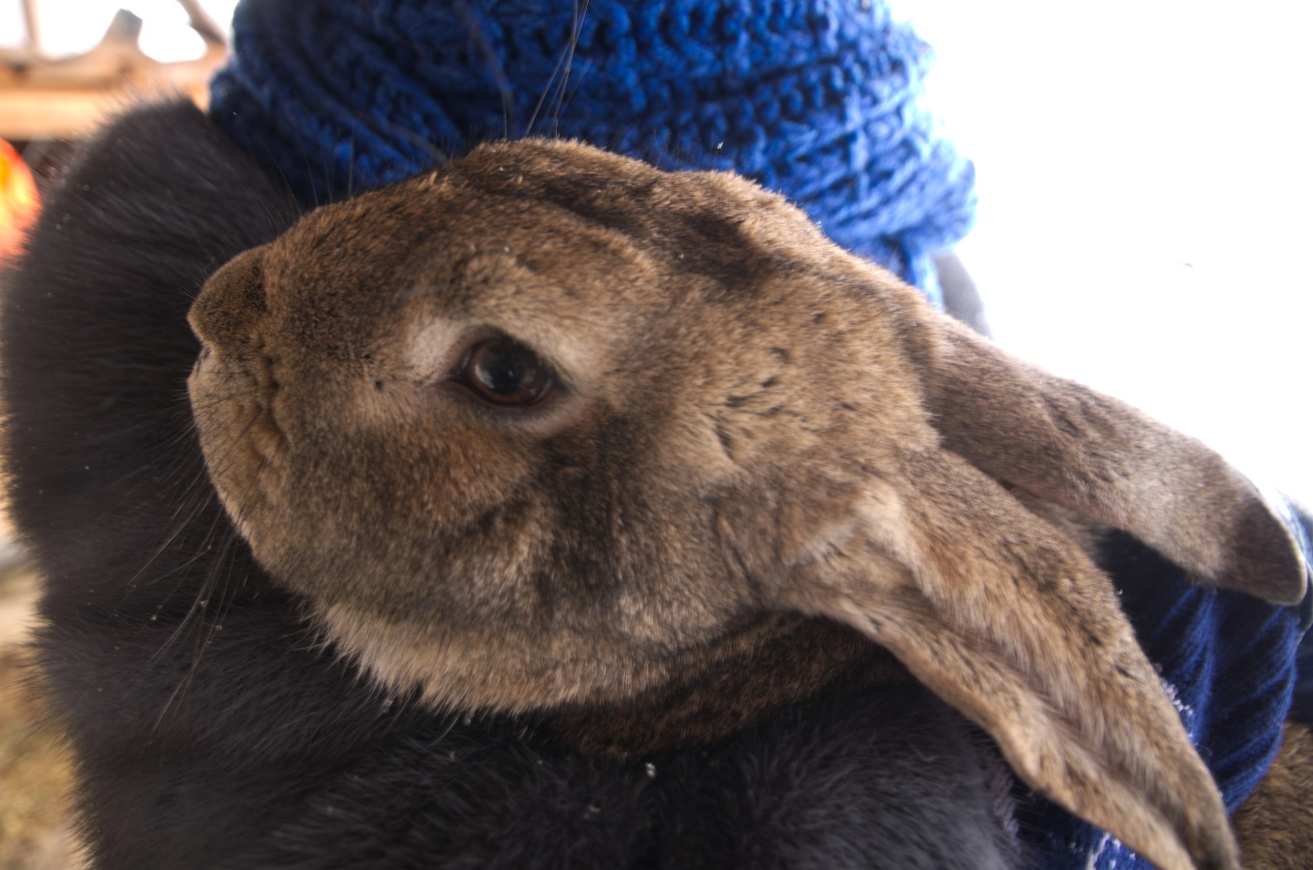 Владимир+Суздаль | 18-19.02.2017. Галерея Фантим