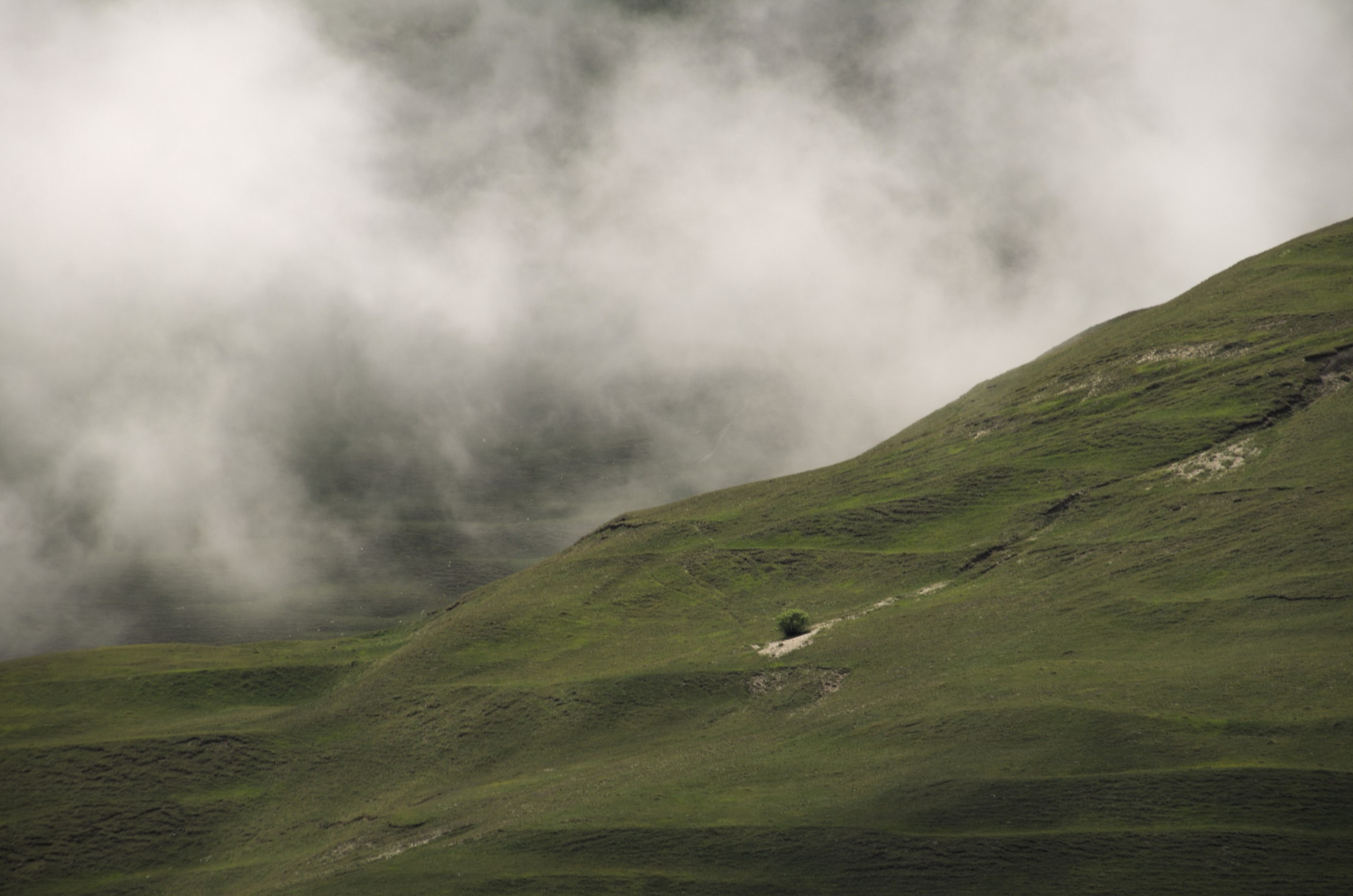 Чечня+Ингушетия | 10-12.06.2017. Галерея Фантим