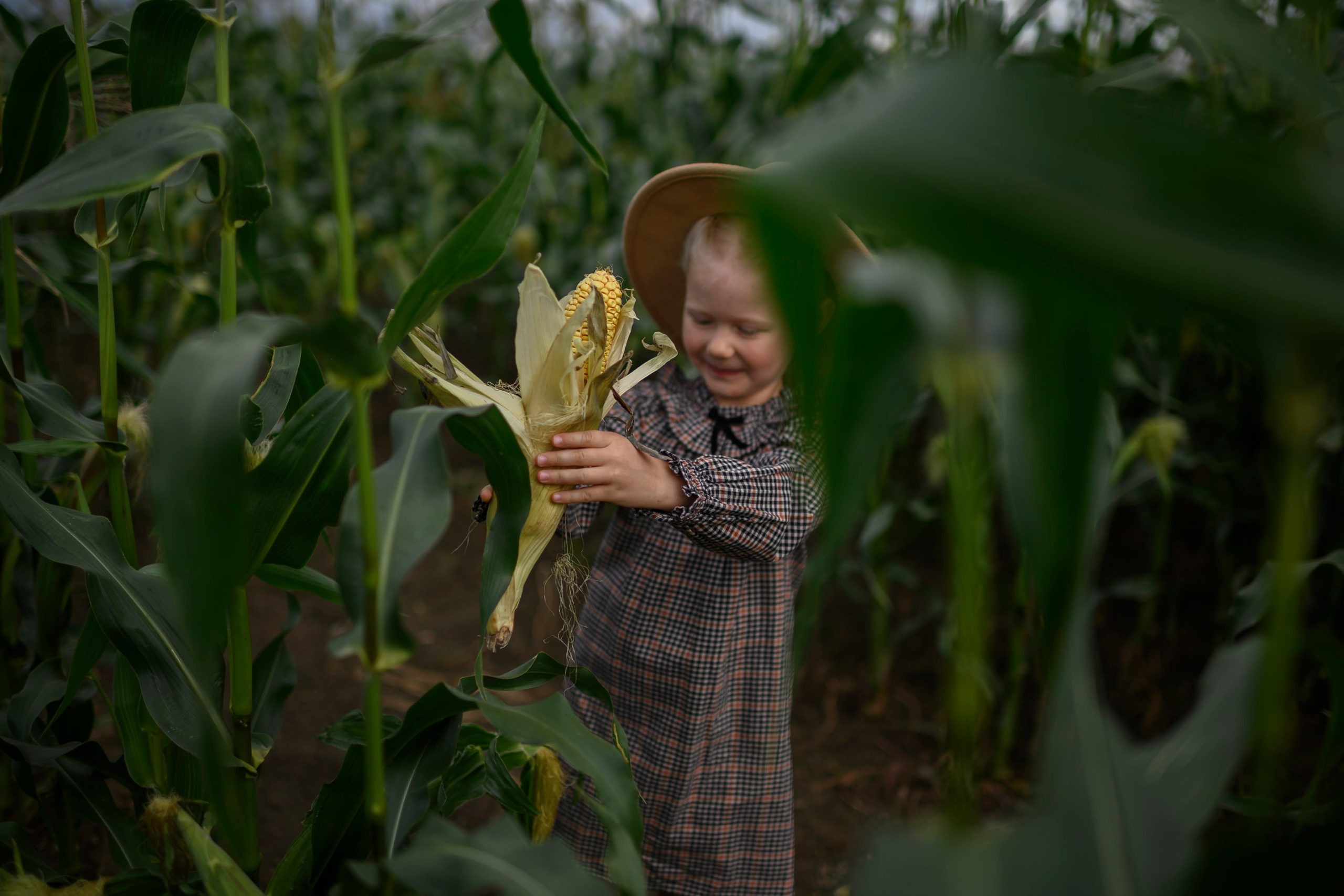 КУКУРУЗА. Семейный фотограф Екатеринбург Лора Мур