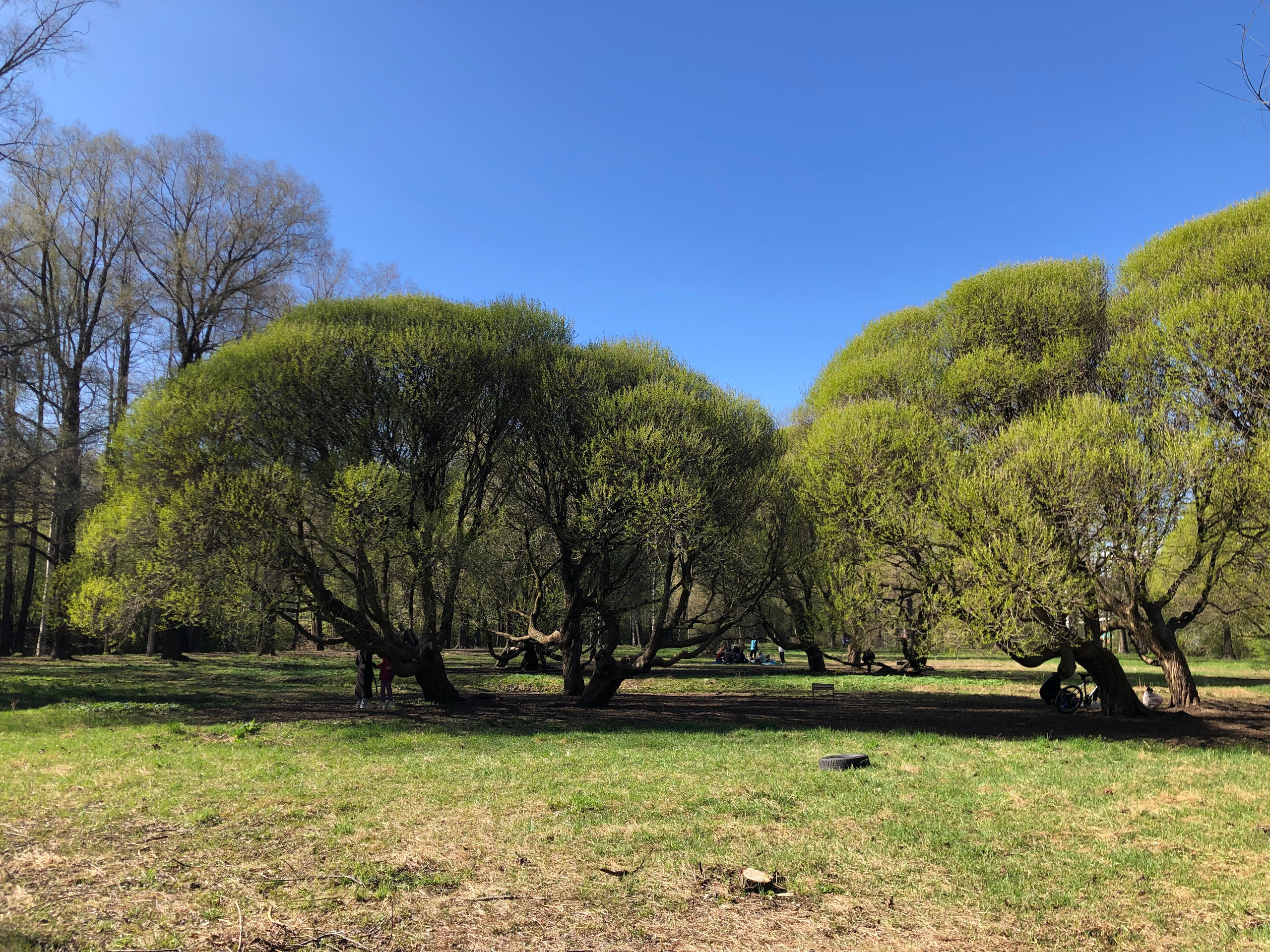 Май. Семейный, Свадебный фотограф СПБ Питер— Романова Екатерина