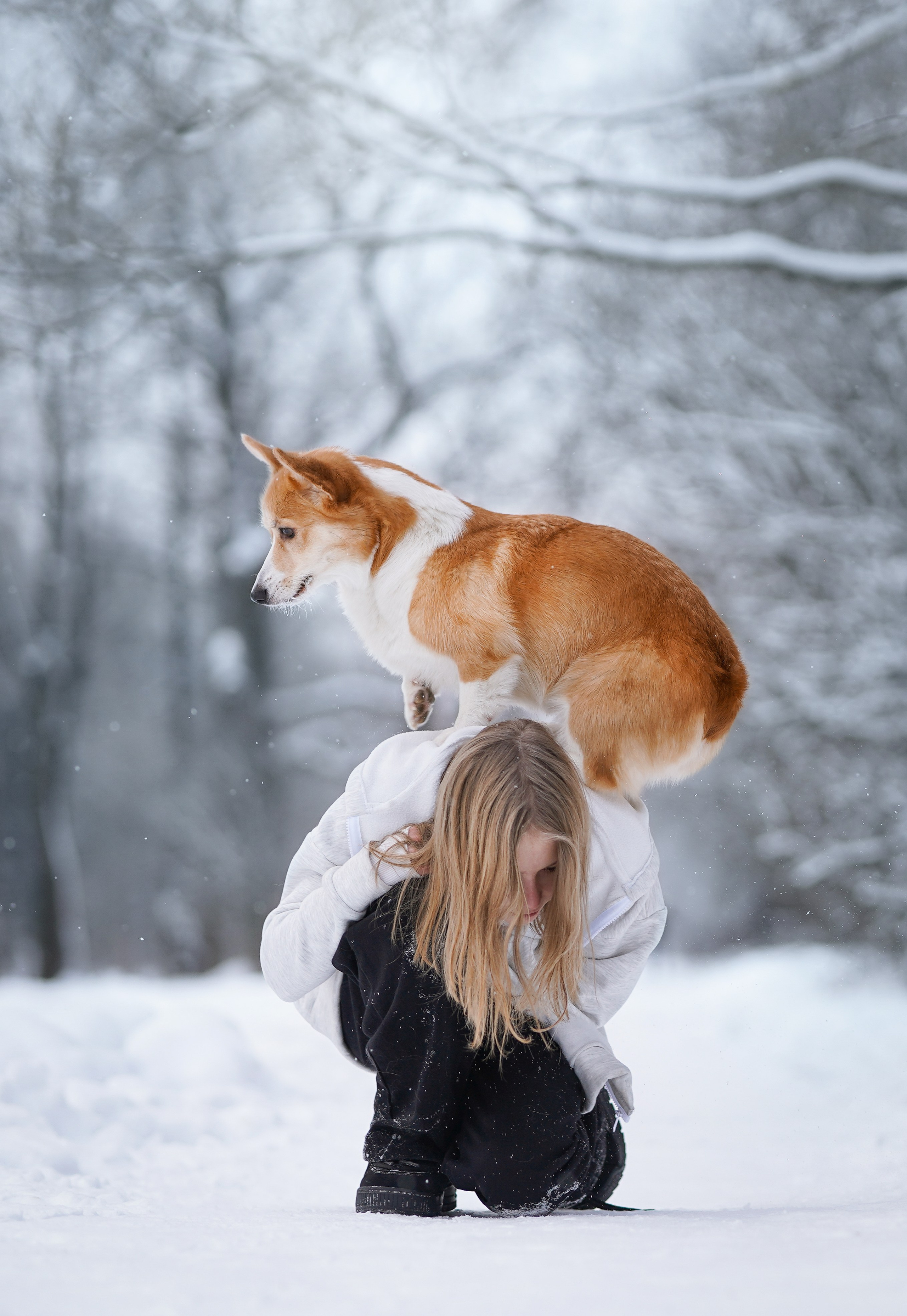 Кристина и Лаки. Фотограф-анималист в Санкт-Петербурге Яна Мартынова