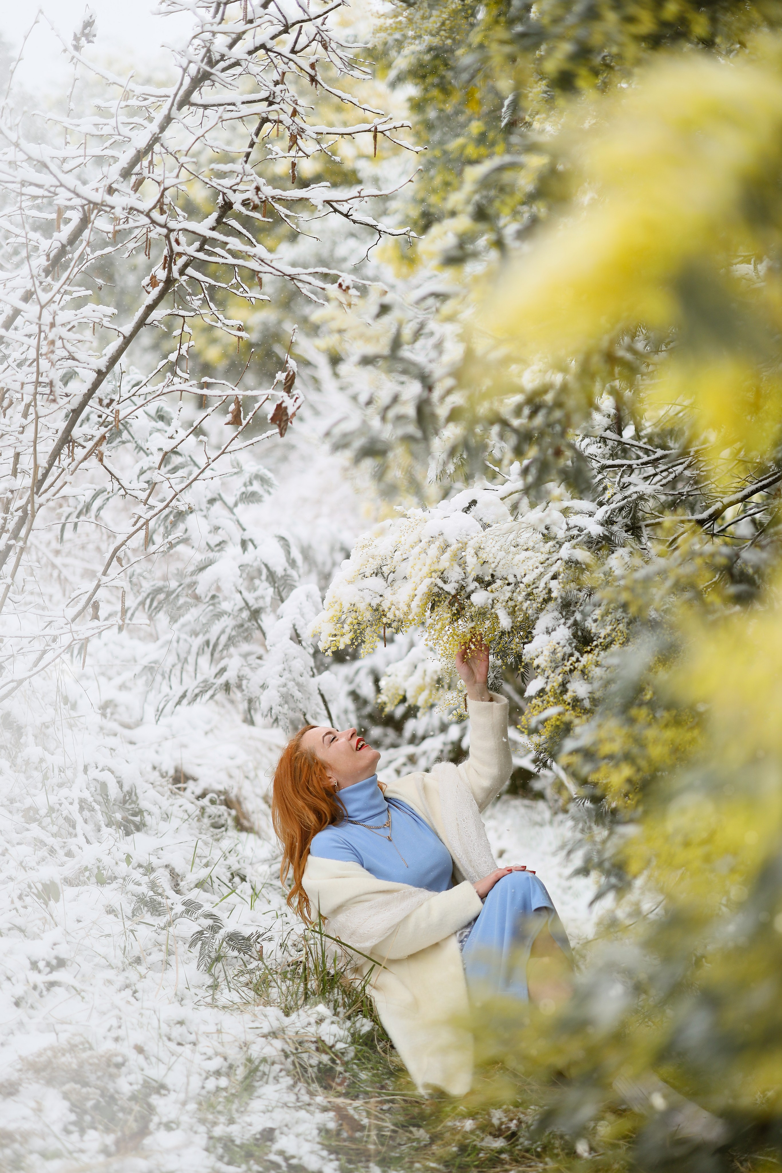фотосессия в заснеженном саду мимозы, Абхазия