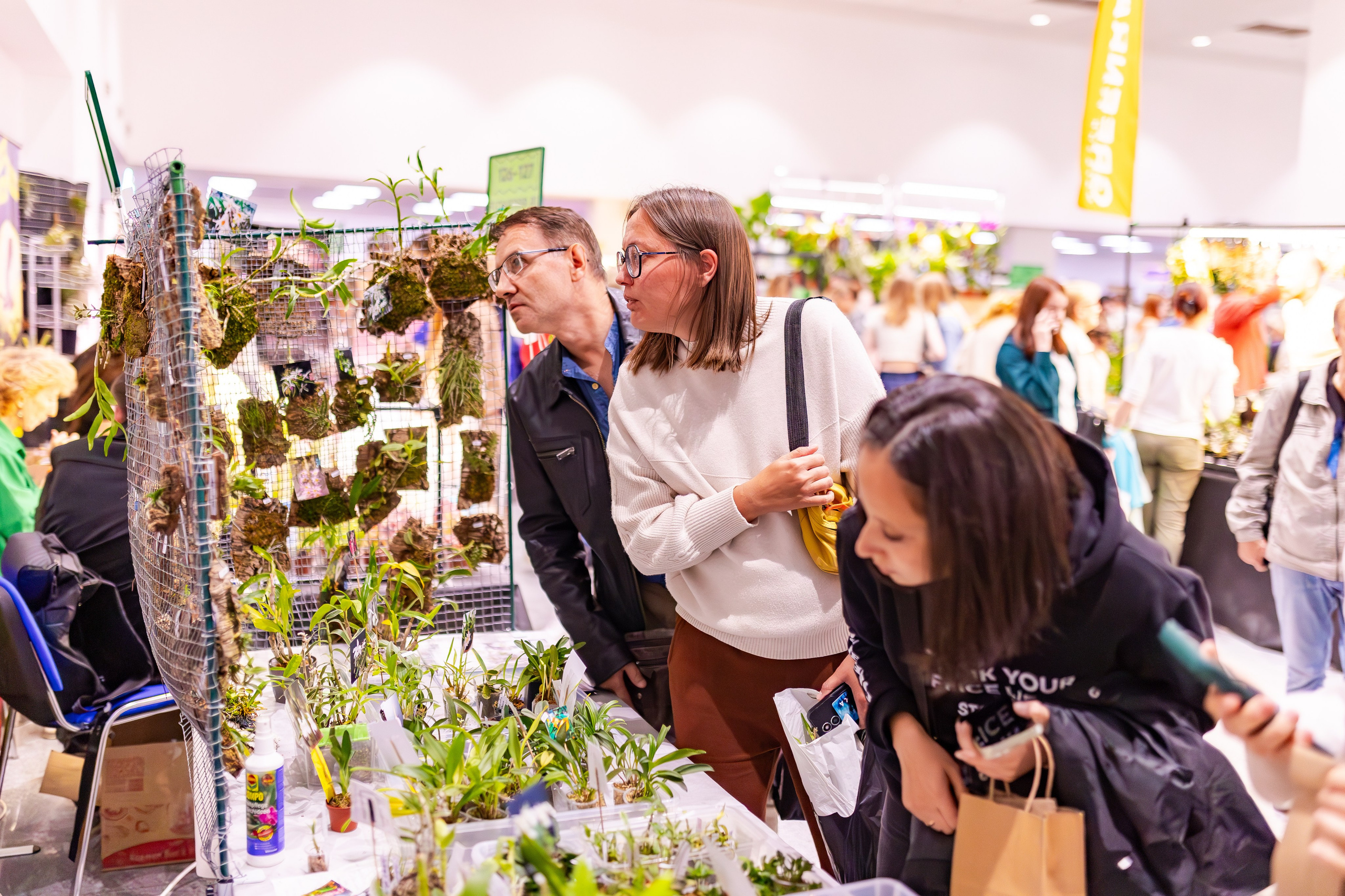 Орхидиум сентябрь 2025. Александра Куликова фотограф, Москва