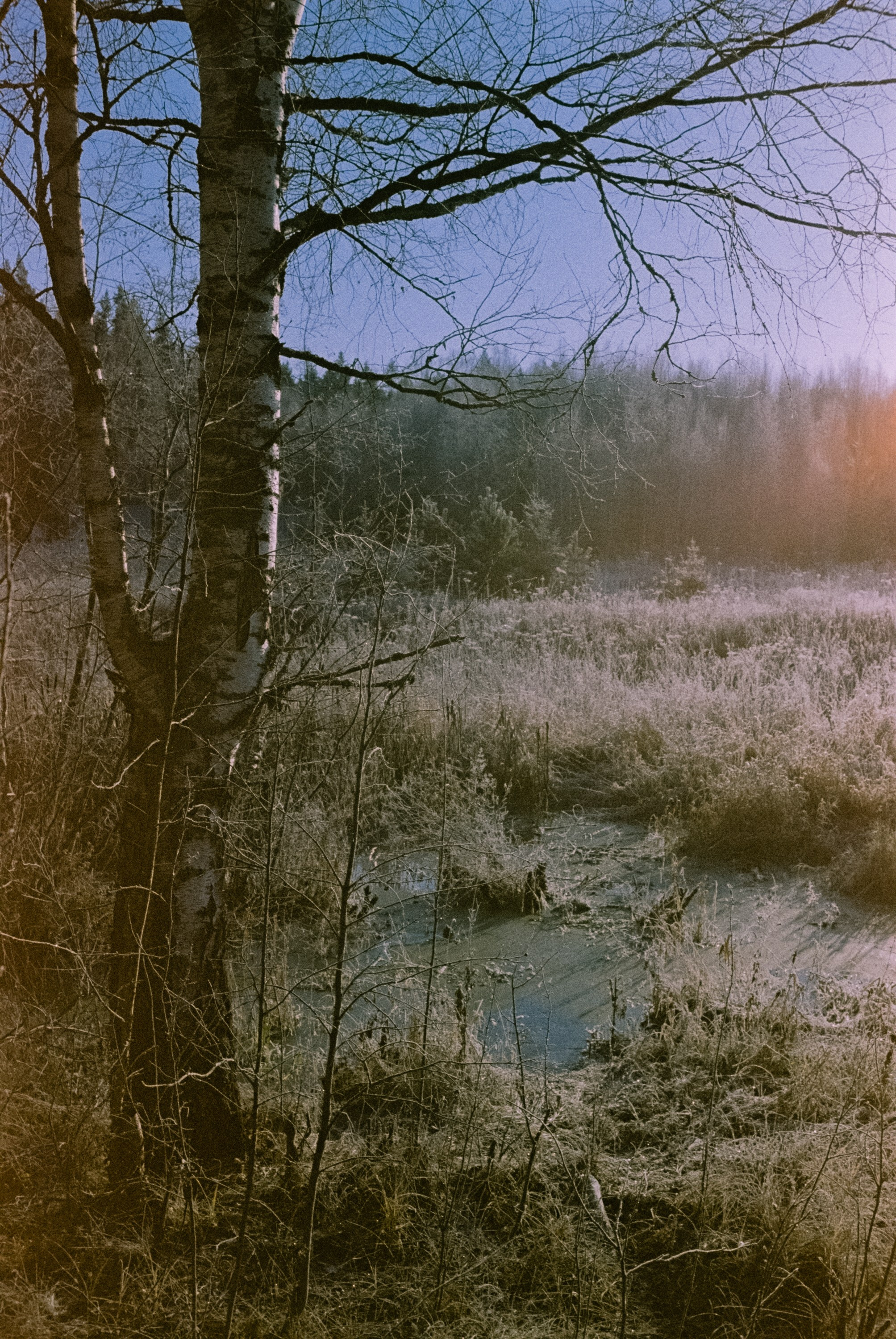 Minolta Hi-Matic 7sII / Kodak Color 200 (просрочка) / Лукино