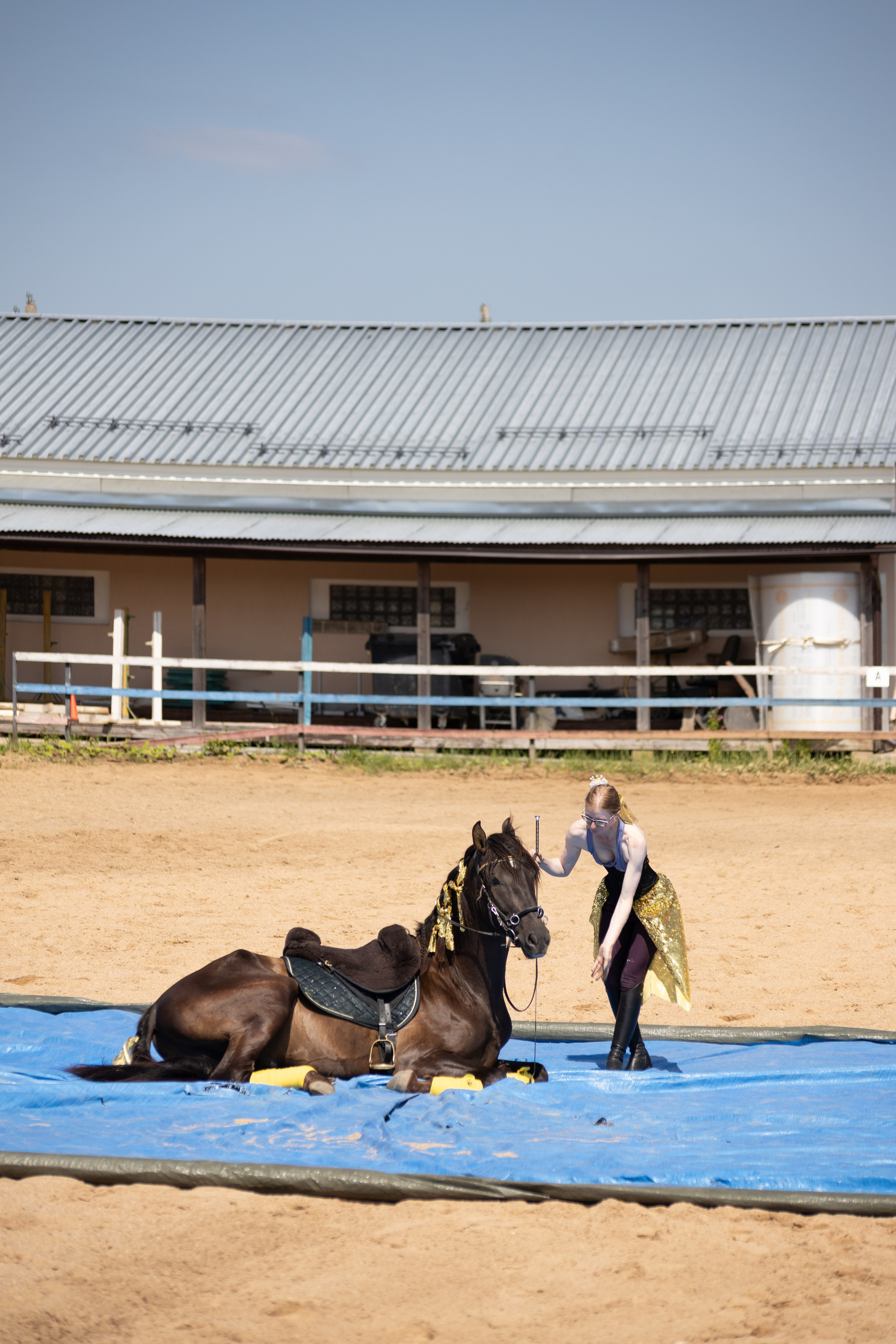 Конюшня. Фотограф в Москве и Истре