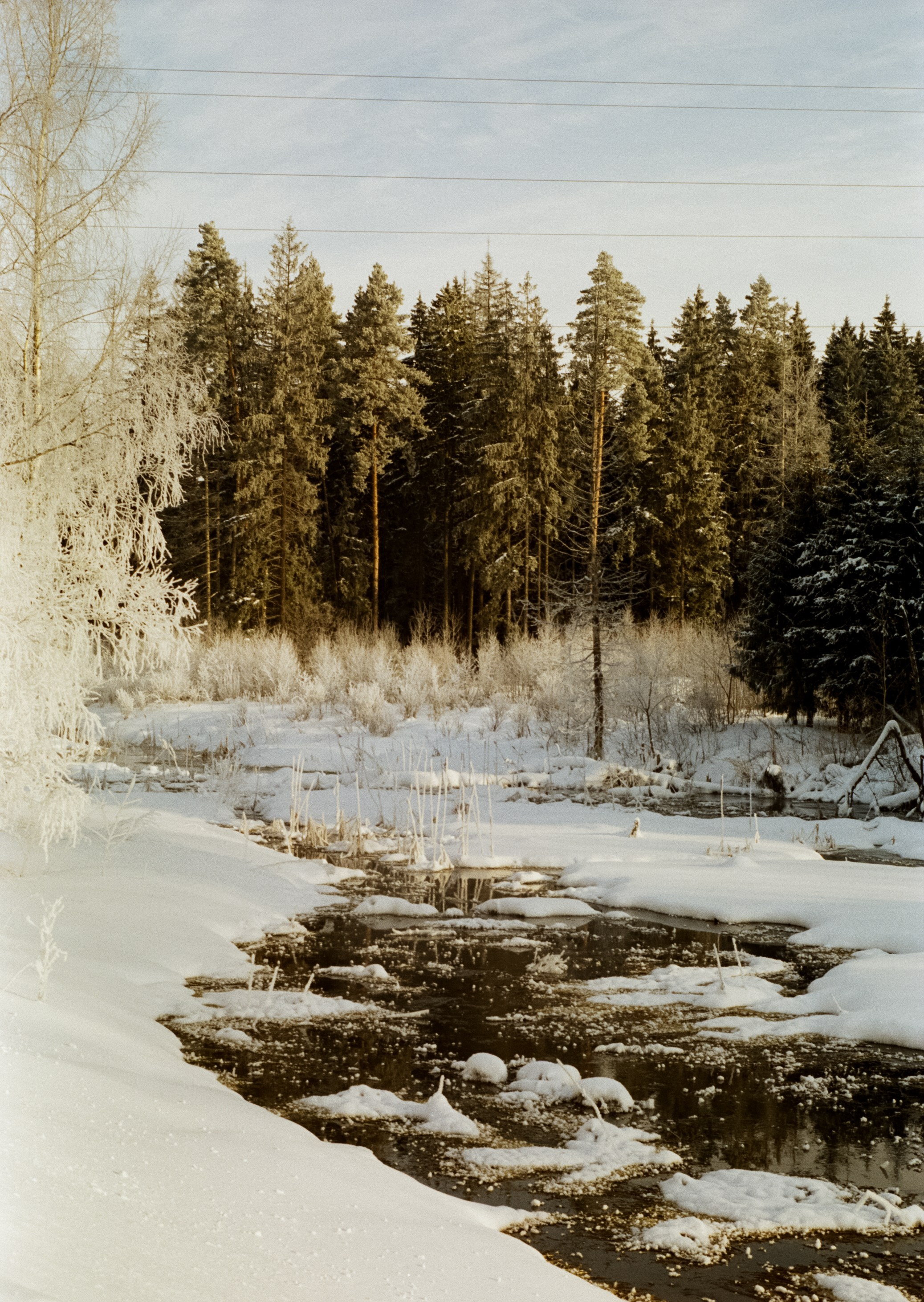 Pentax MZ-3 (1) объектив Schneider-Kreuznach Retina-Xenon 50 mm f/1.9 D