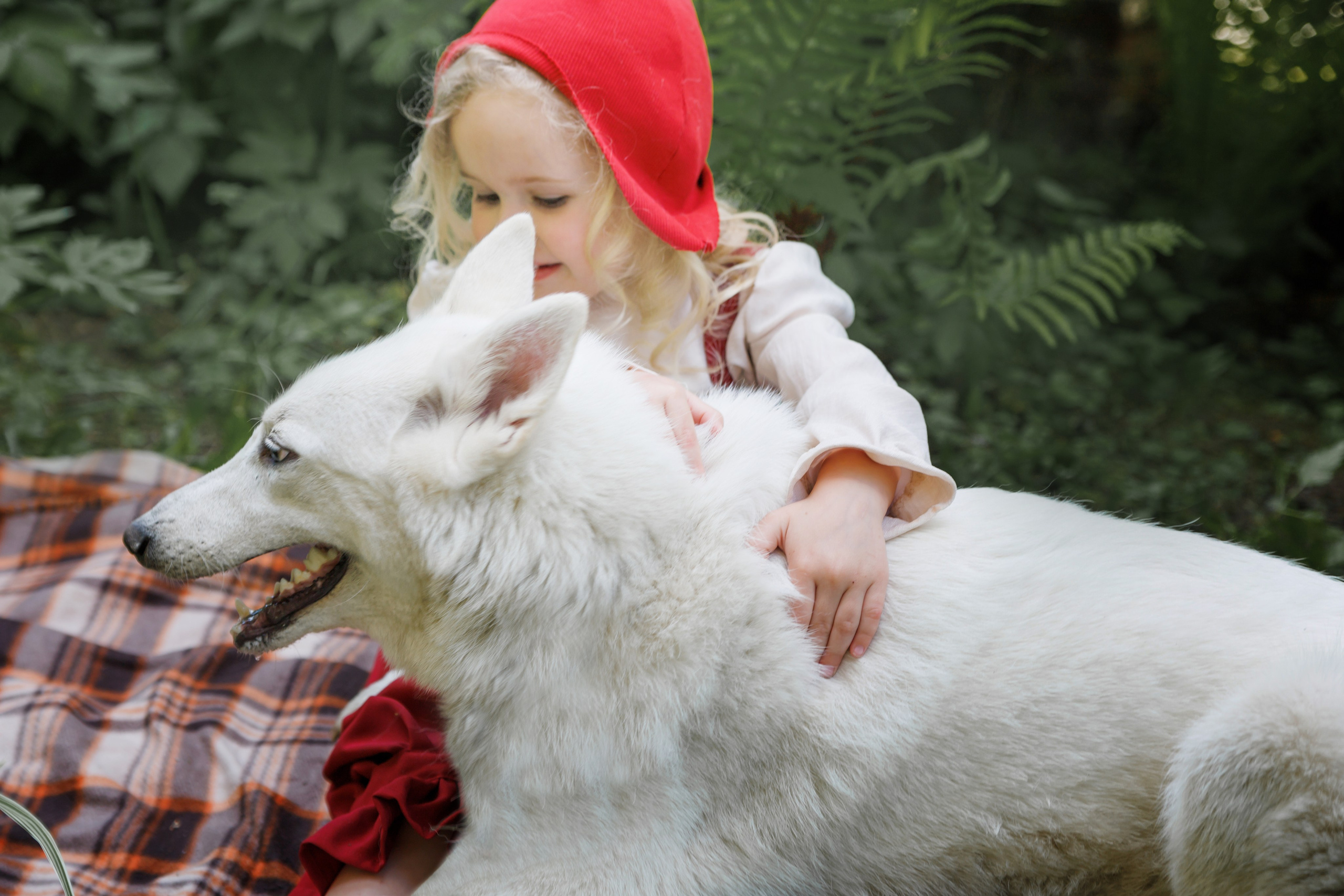 Красная шапочка. Детский и семейный фотограф в Бердске и Новосибирске Дарья Гребнева