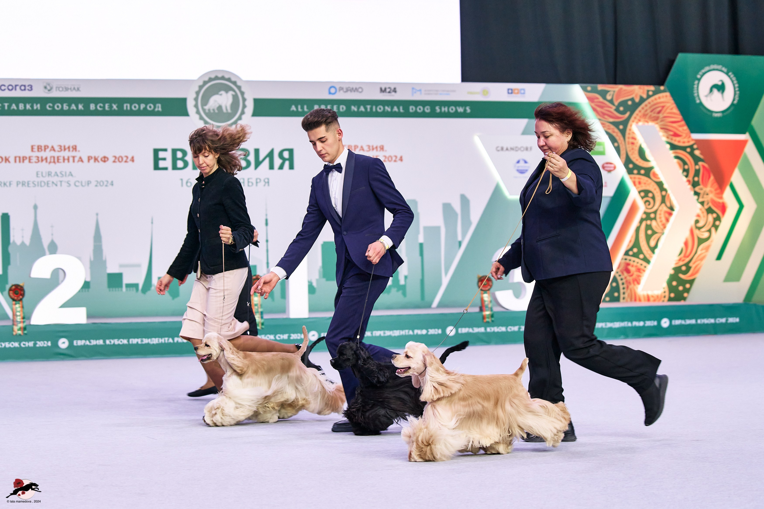 17.11.2024 «ЕВРАЗИЯ. КУБОК СНГ 2024»