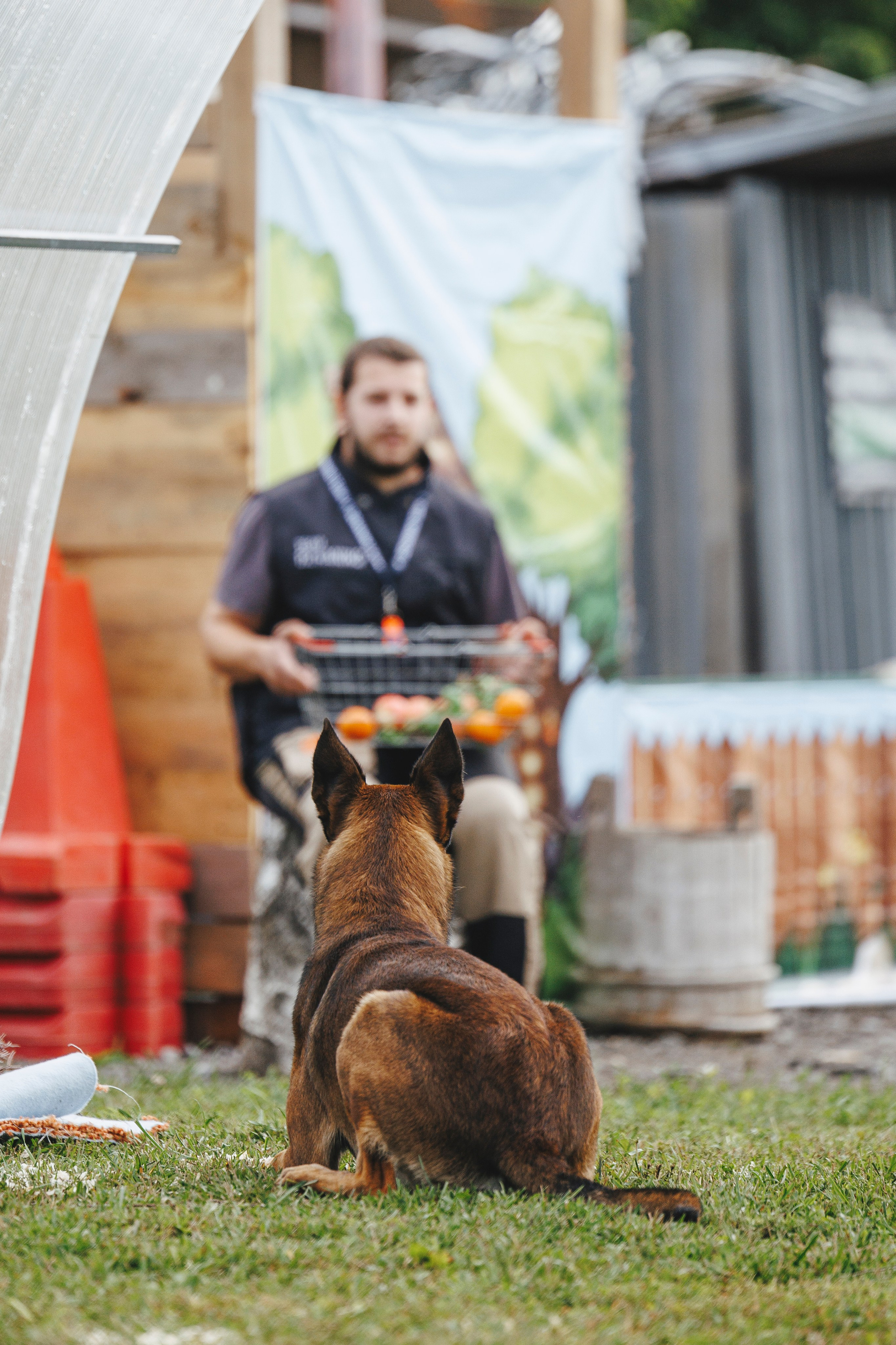 08.08.25-10.08.25 ЧР по мондьорингу г. Вологда. Фотограф-анималист Анна Маринич
