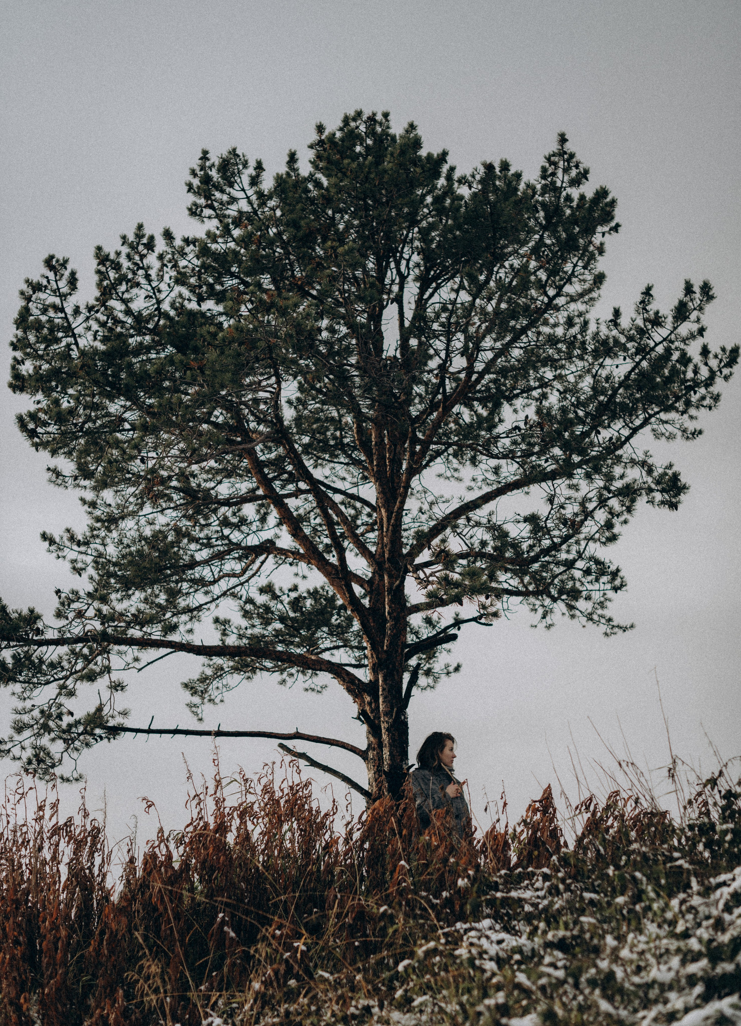 Первый снег. Фотограф Наталья Могилевская Мурманск Териберка Сейдозеро Рыбачий