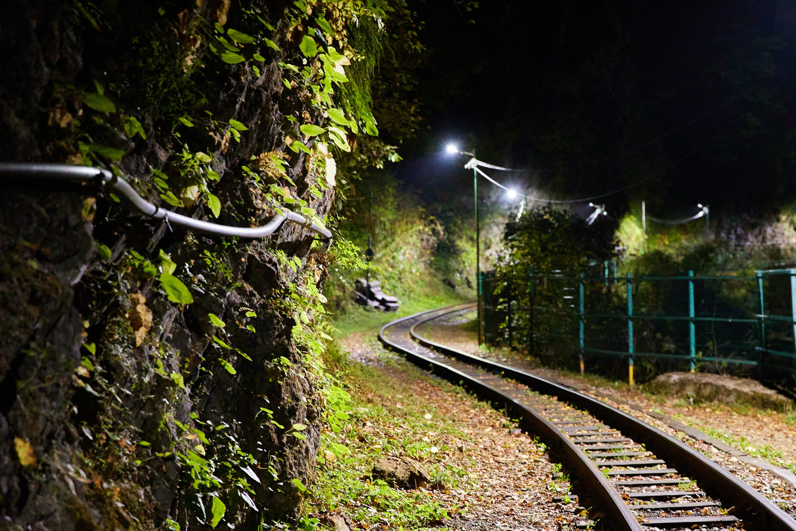 Путешествия