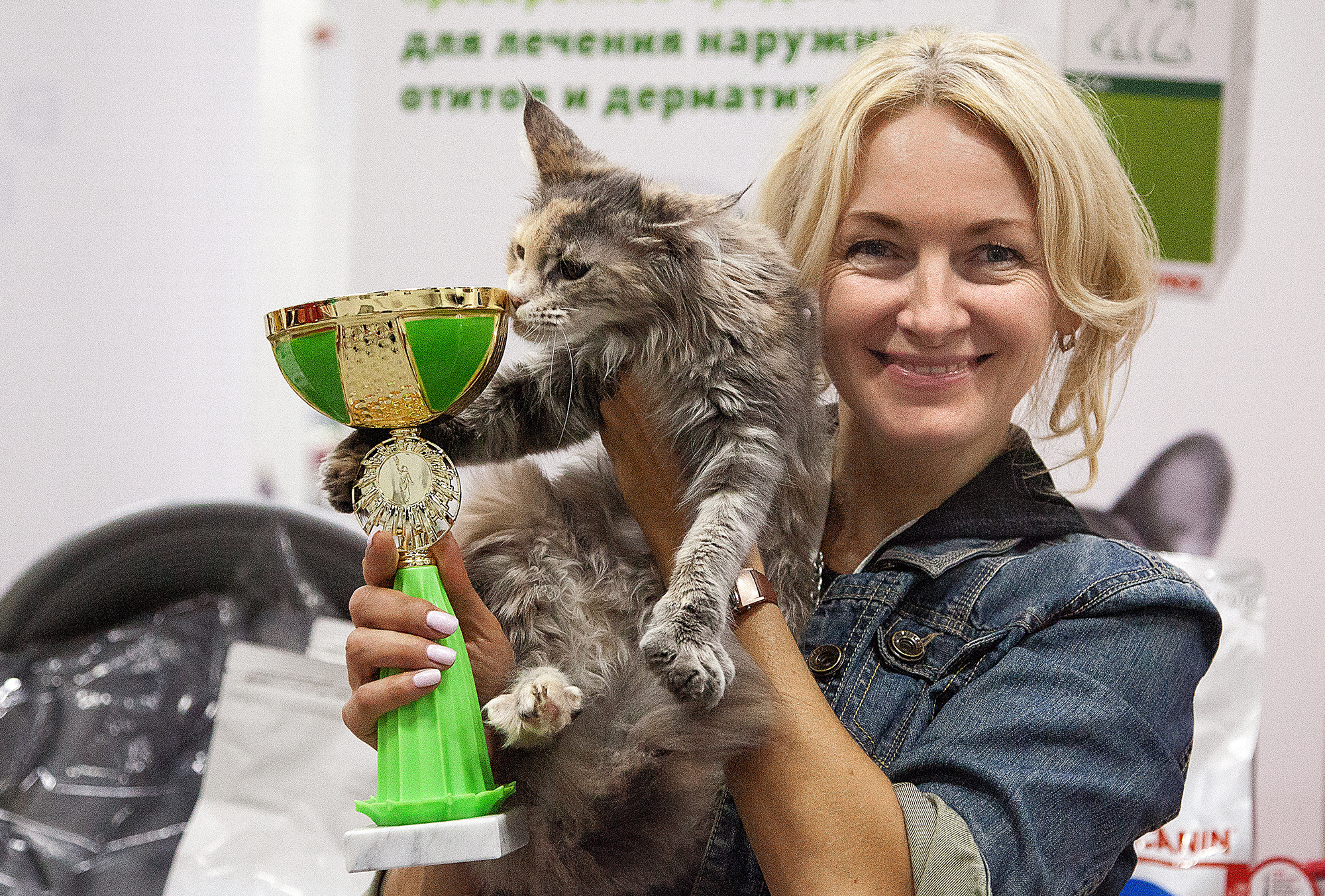 - выставки кошек