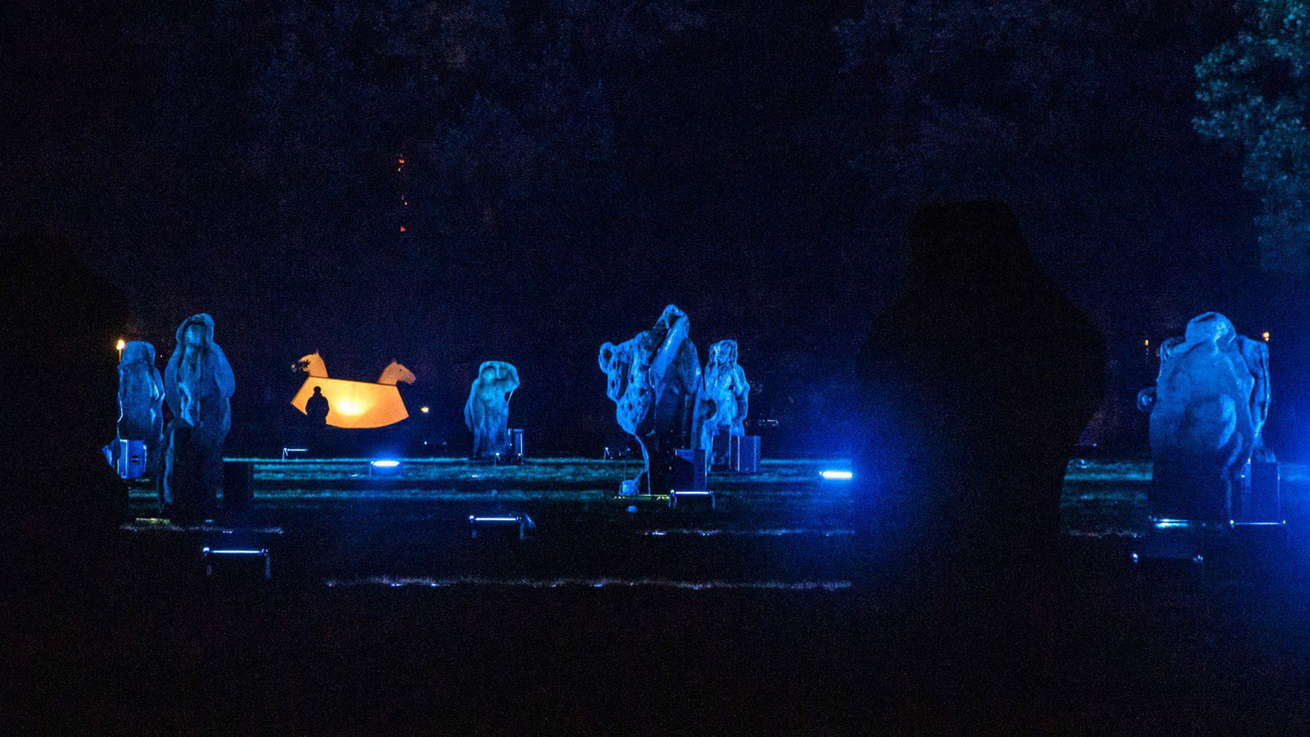 Обратная сторона дворца. Aleksandra Mikhailova multimedia artist