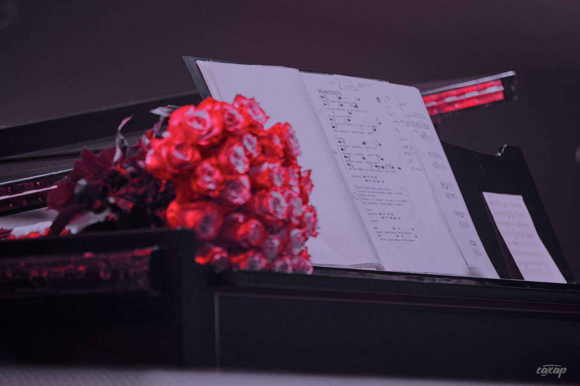 Мумий Тролль, фото с концерта в Екатеринбурге. Космос 2019 Фотограф в. Профессиональный фотограф в Екатеринбурге Юра Сахар